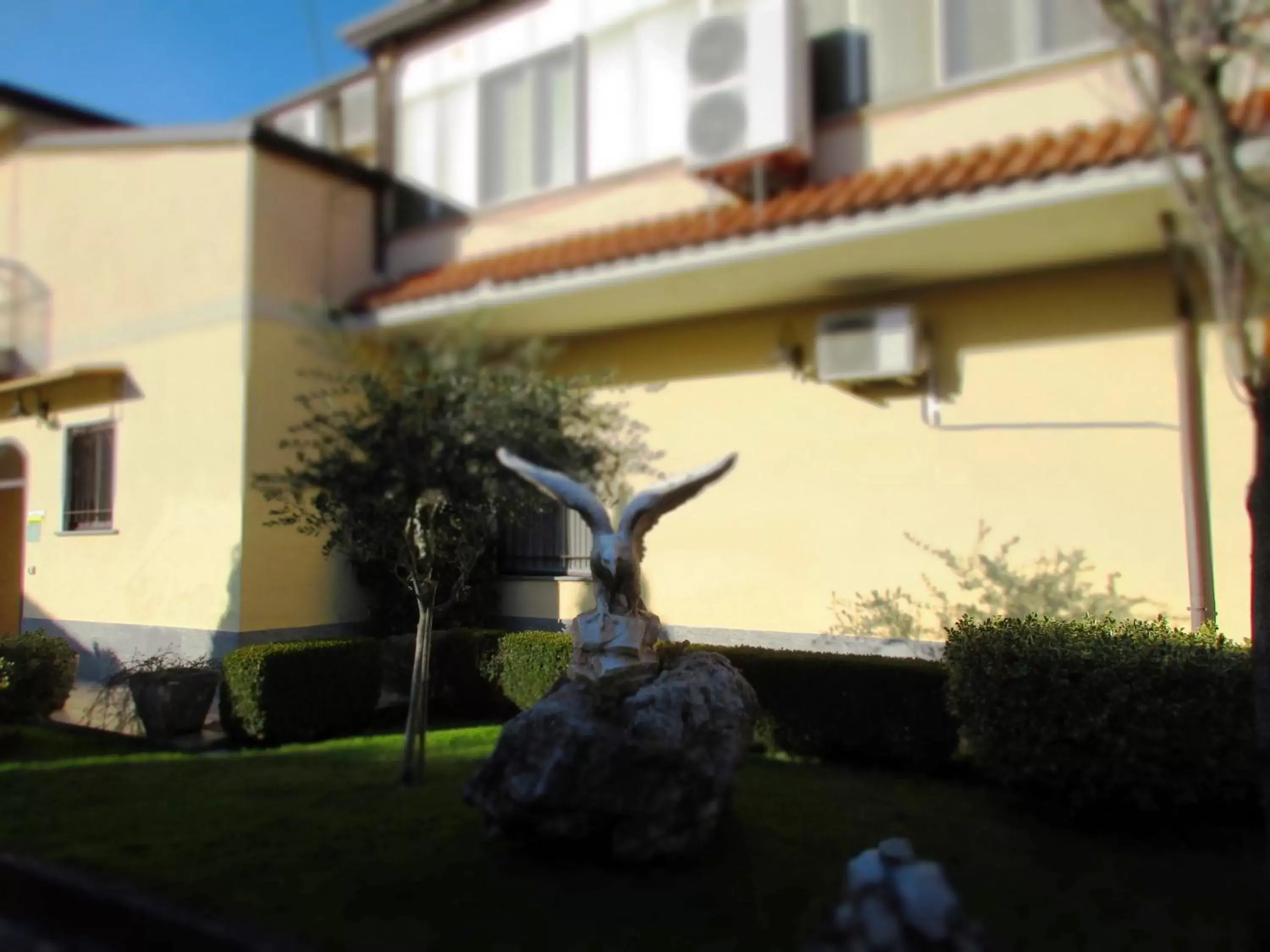 Decorative detail, Property Building in Hotel Rosso Di Sera