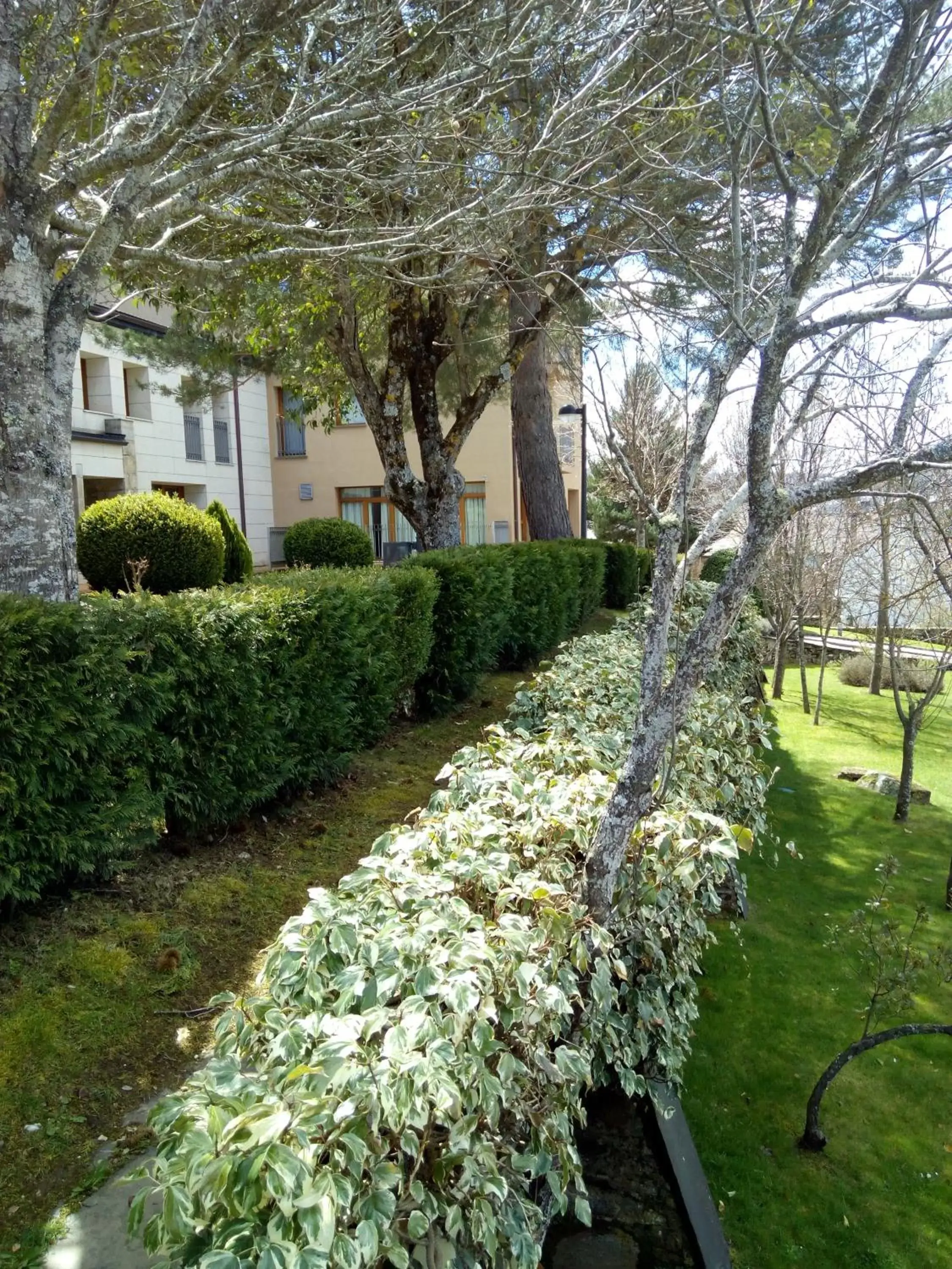 Natural landscape, Garden in Parador de Puebla de Sanabria