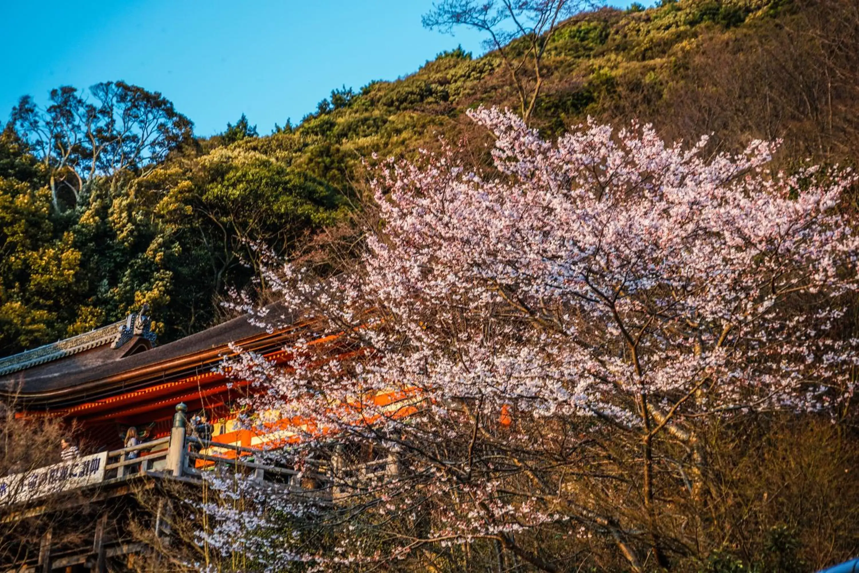 Nearby landmark in Saka Hotel Kyoto