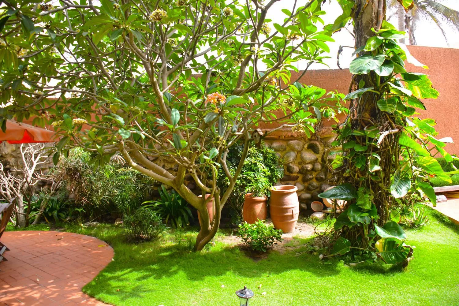 Garden in Nyéléni maison sahel