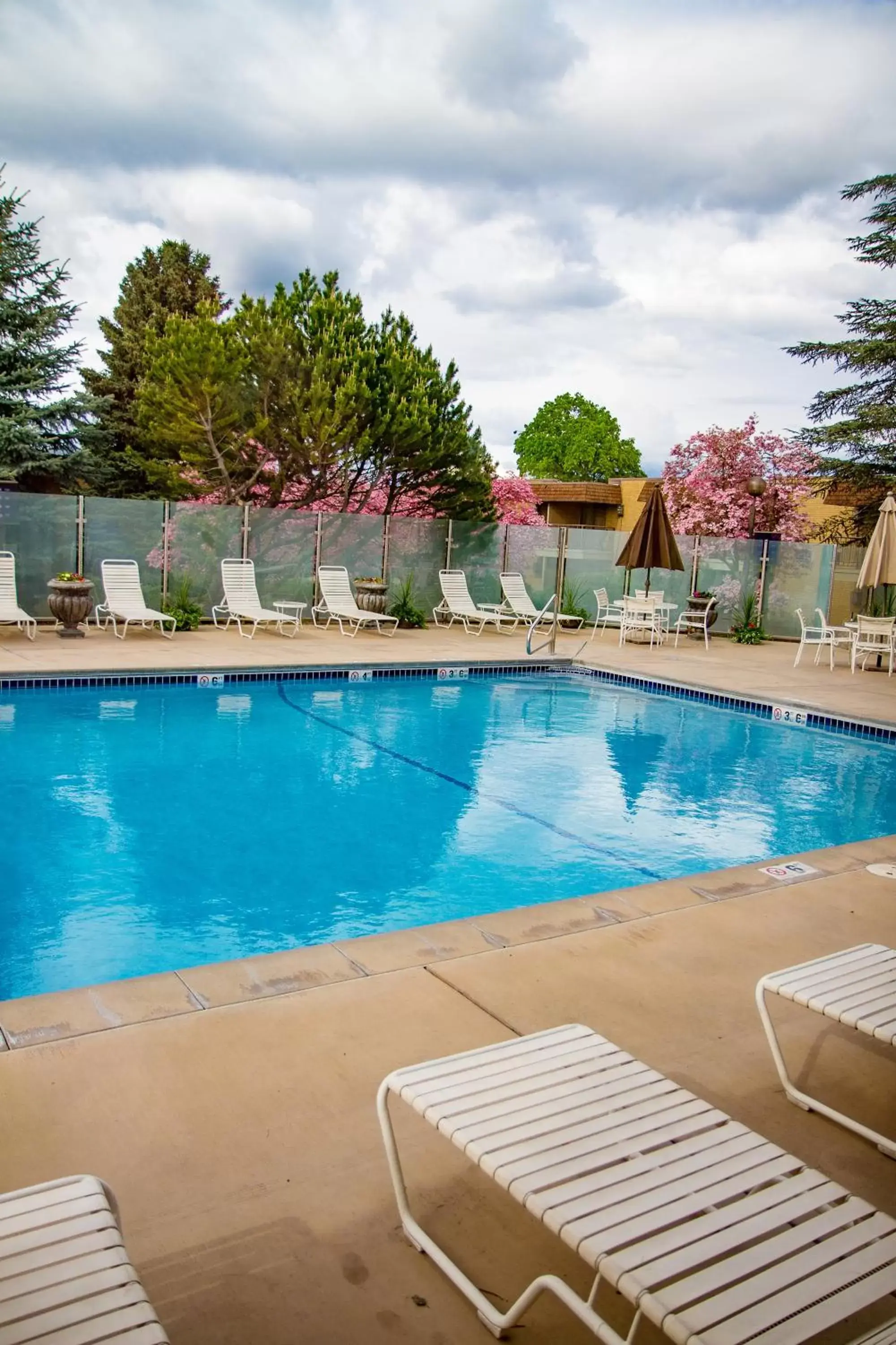 Swimming Pool in Mirabeau Park Hotel