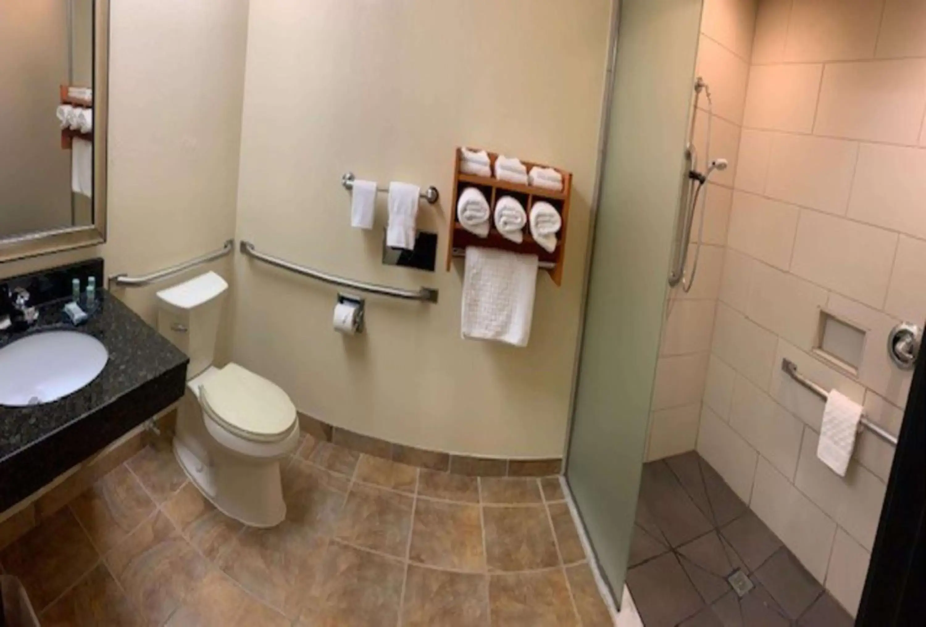 Bathroom in Best Western Davison Inn