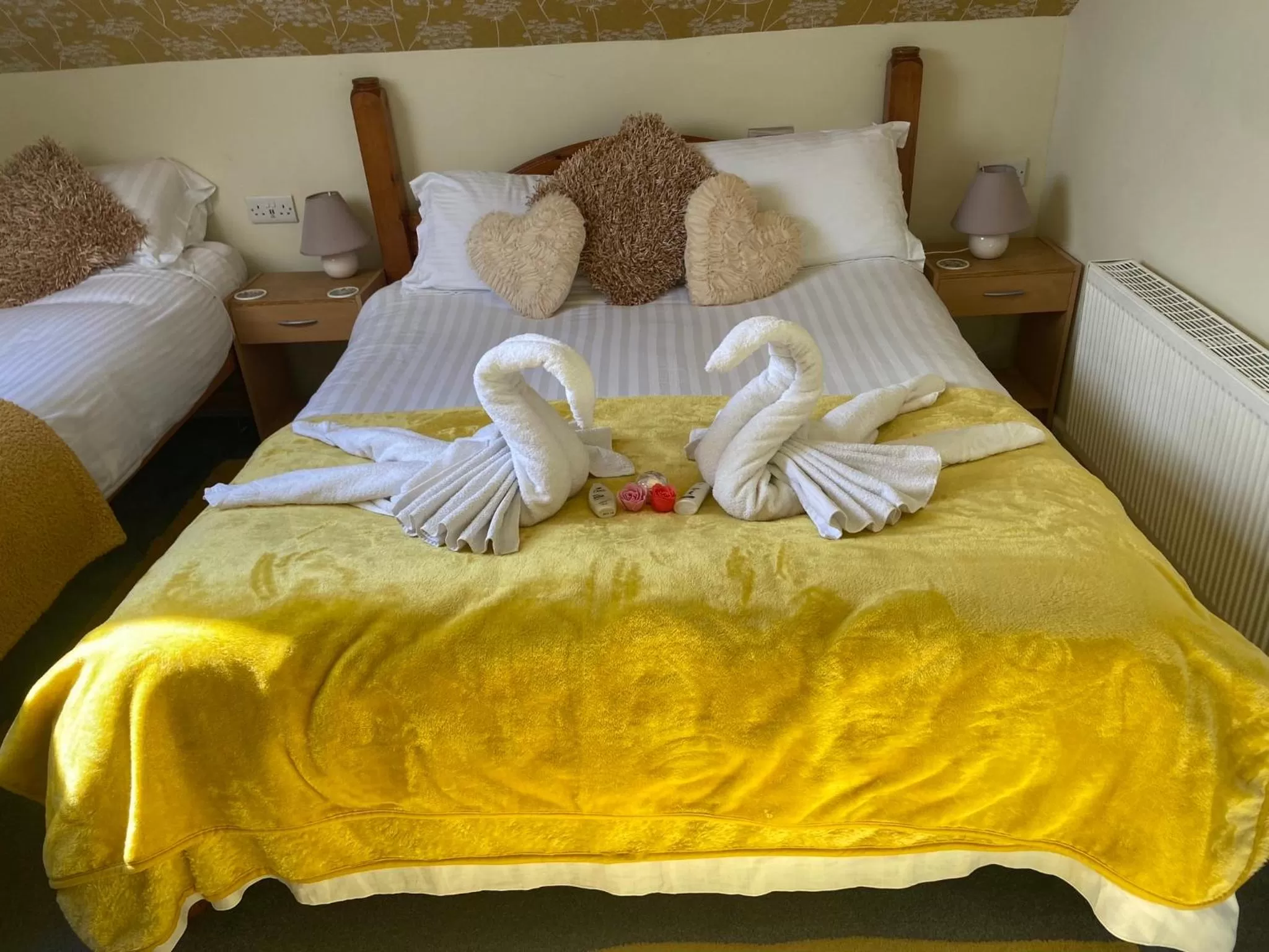 Bed in Aquarius B&B