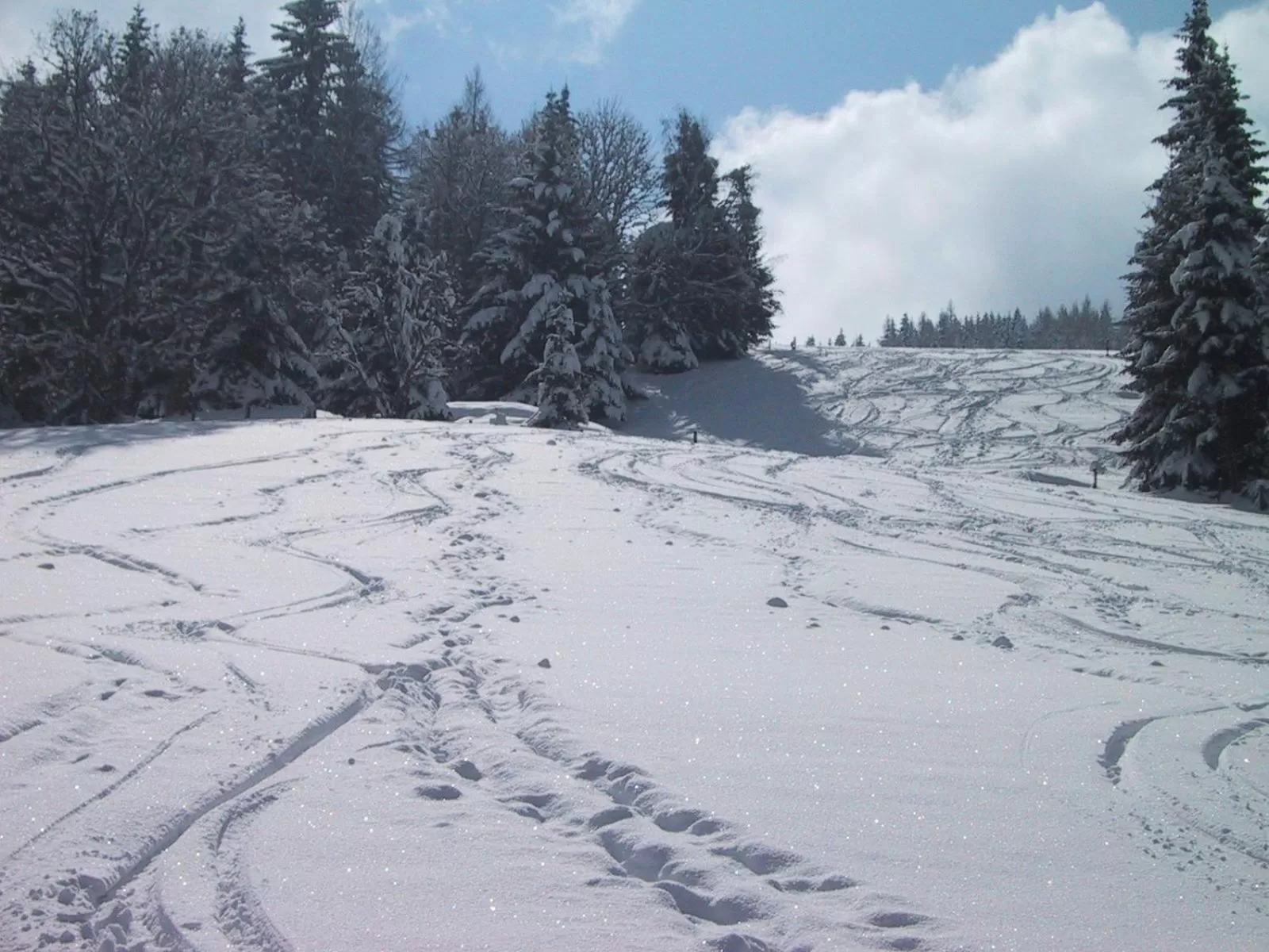 Area and facilities in Hotel Schröckerhof