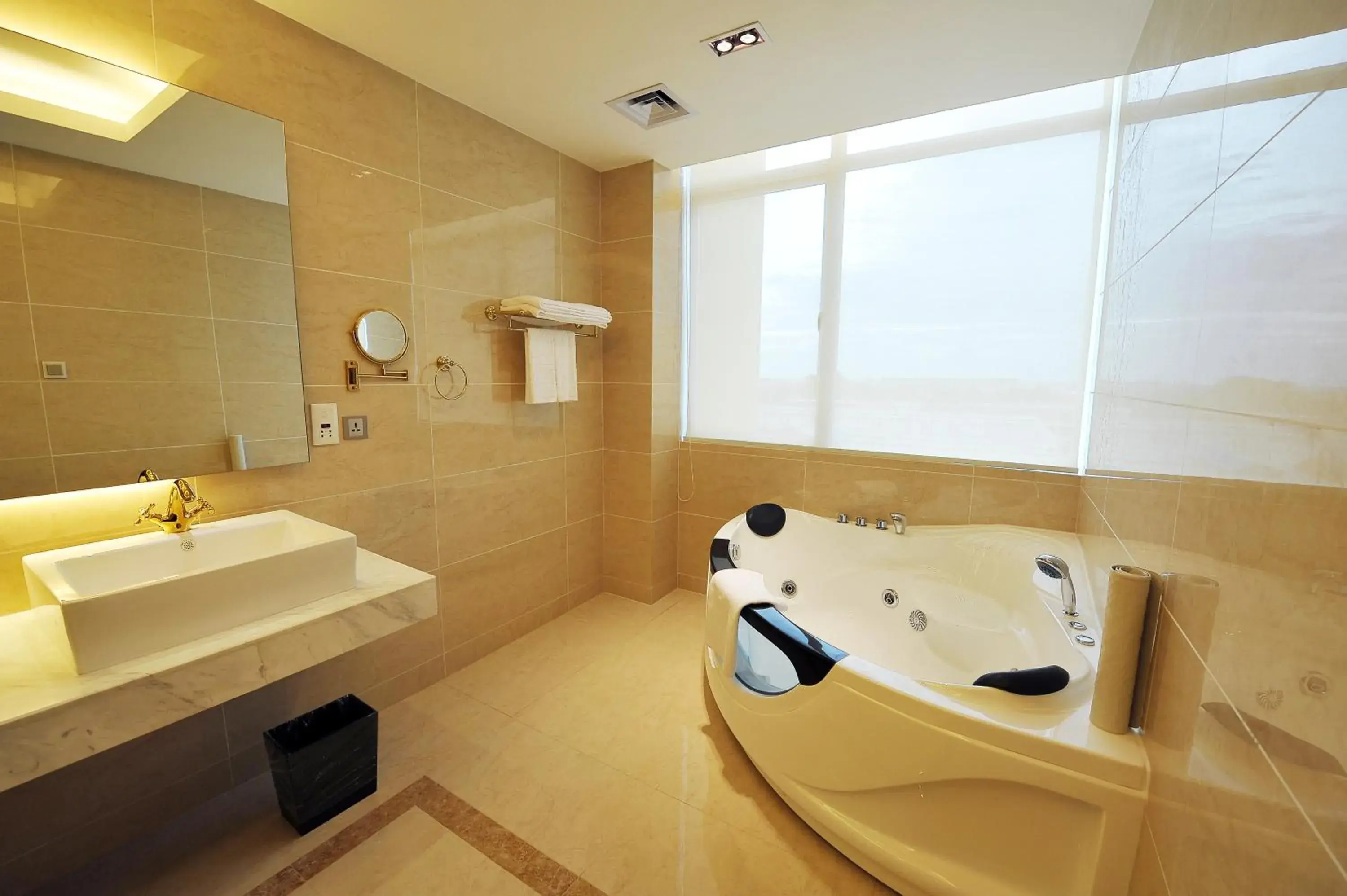 Shower, Bathroom in Dara Airport Hotel