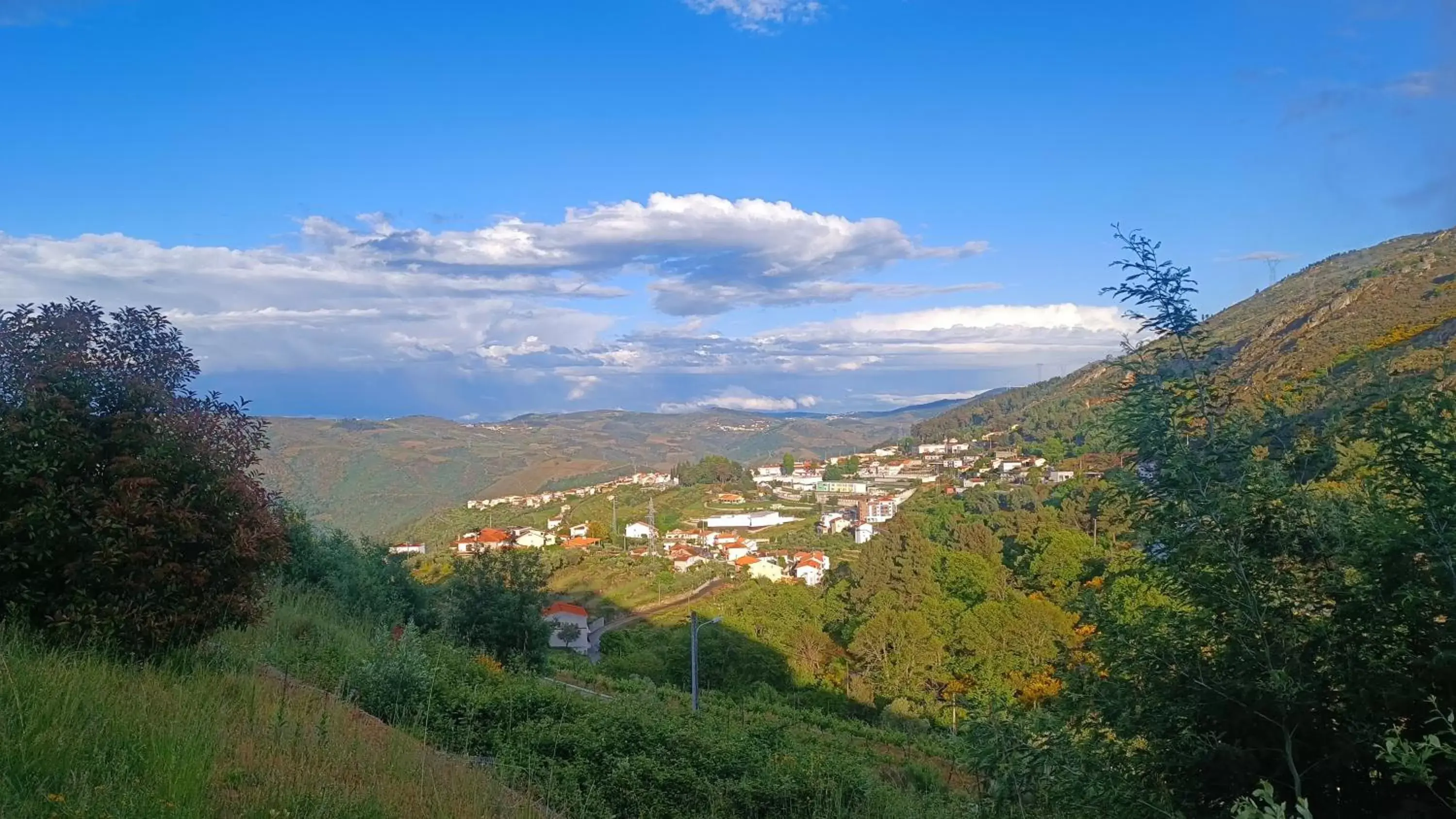 Natural Landscape in Placido Hotel Douro - Tabuaco