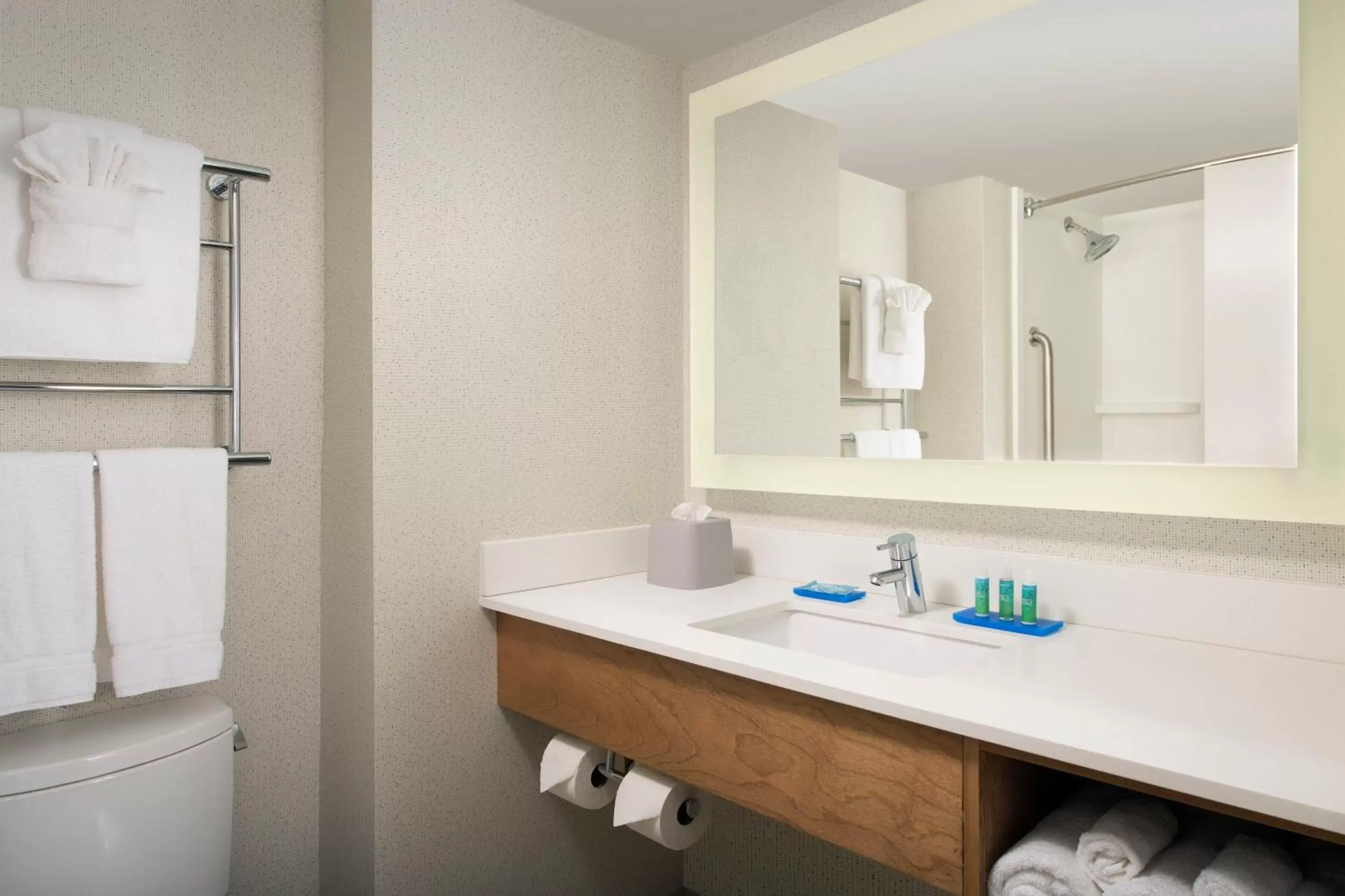 Bathroom in Holiday Inn Express & Suites College Park - University Area by IHG Bathroom in Holiday Inn Express & Suites College Park - University Area by IHG