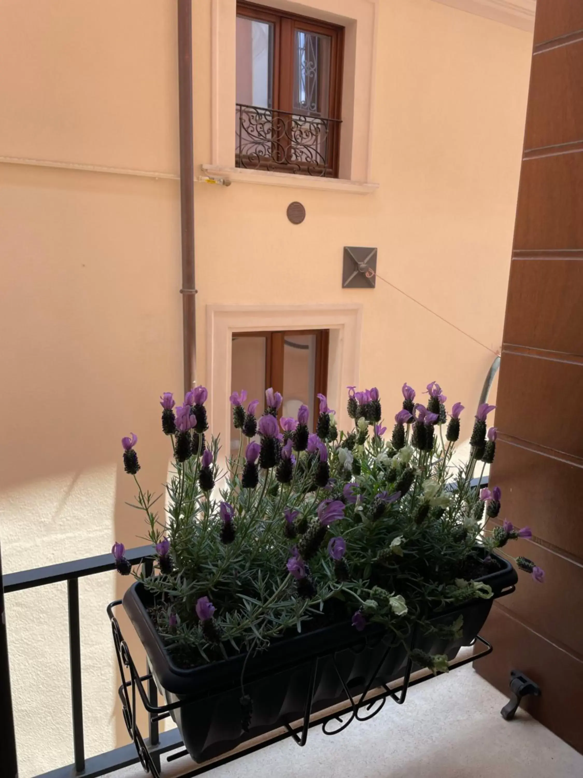 Spring in B & B Piazza Angioina