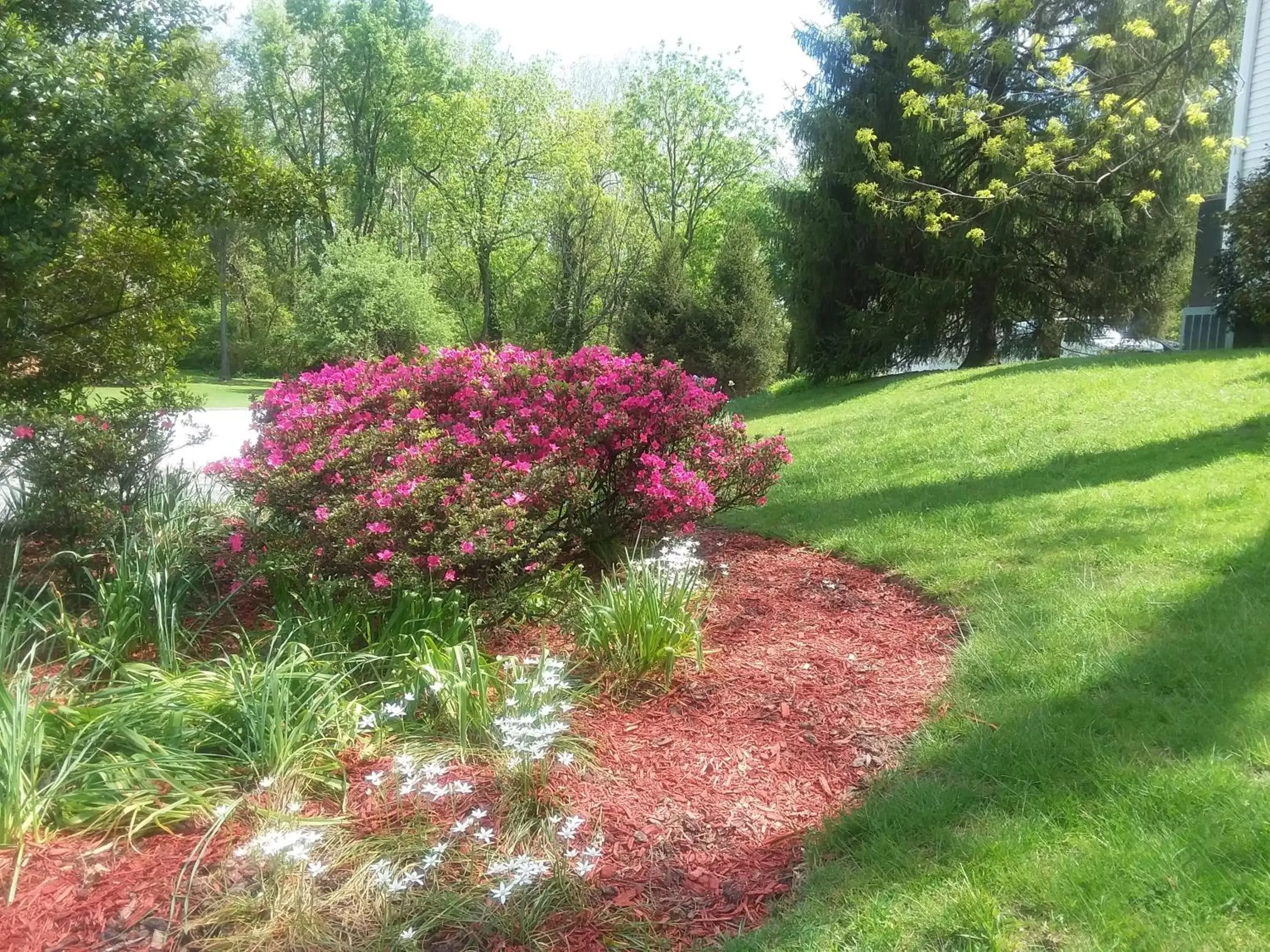 Spring, Garden in The Babcock House