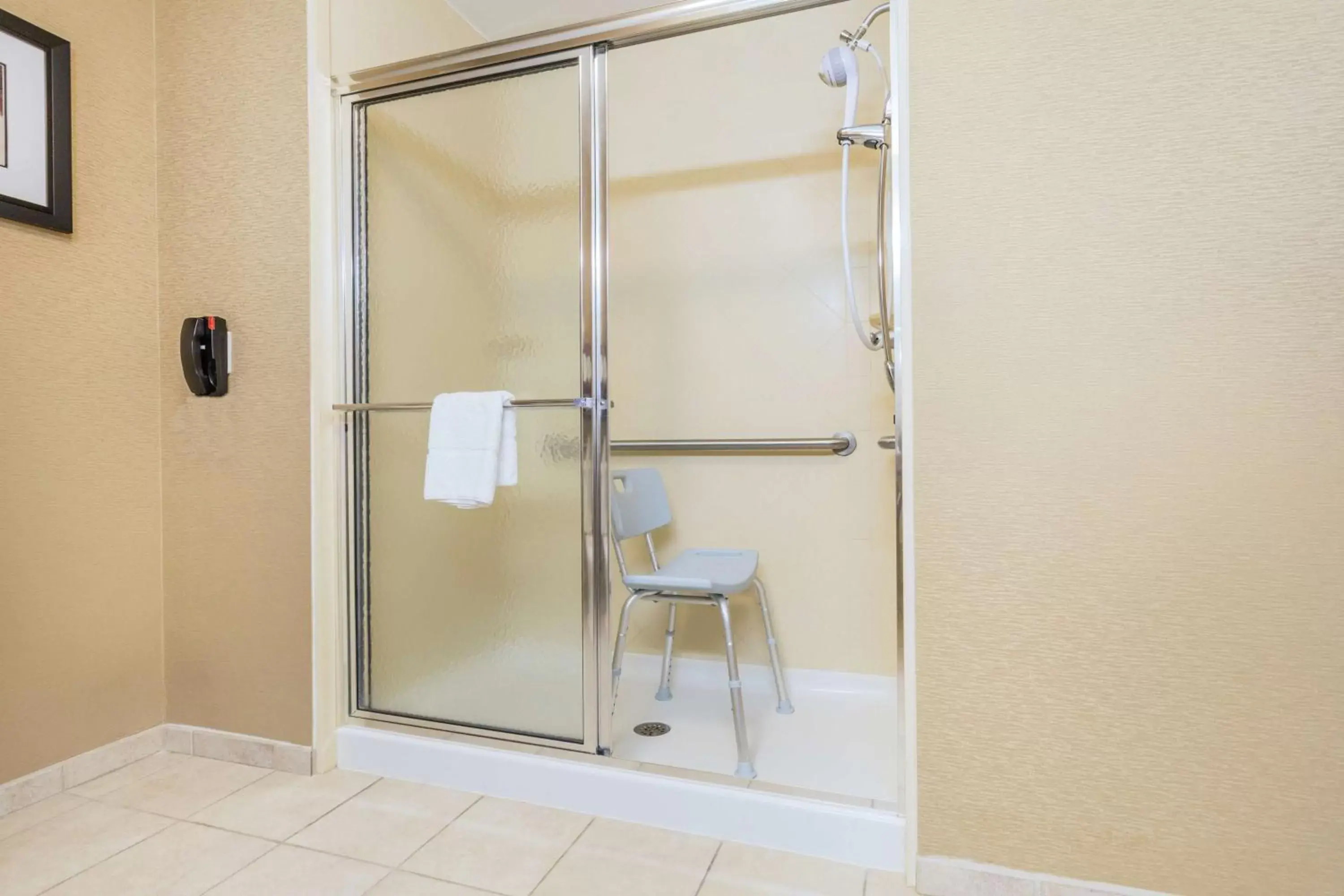 Bathroom in Hampton Inn Petersburg - Southpark Mall