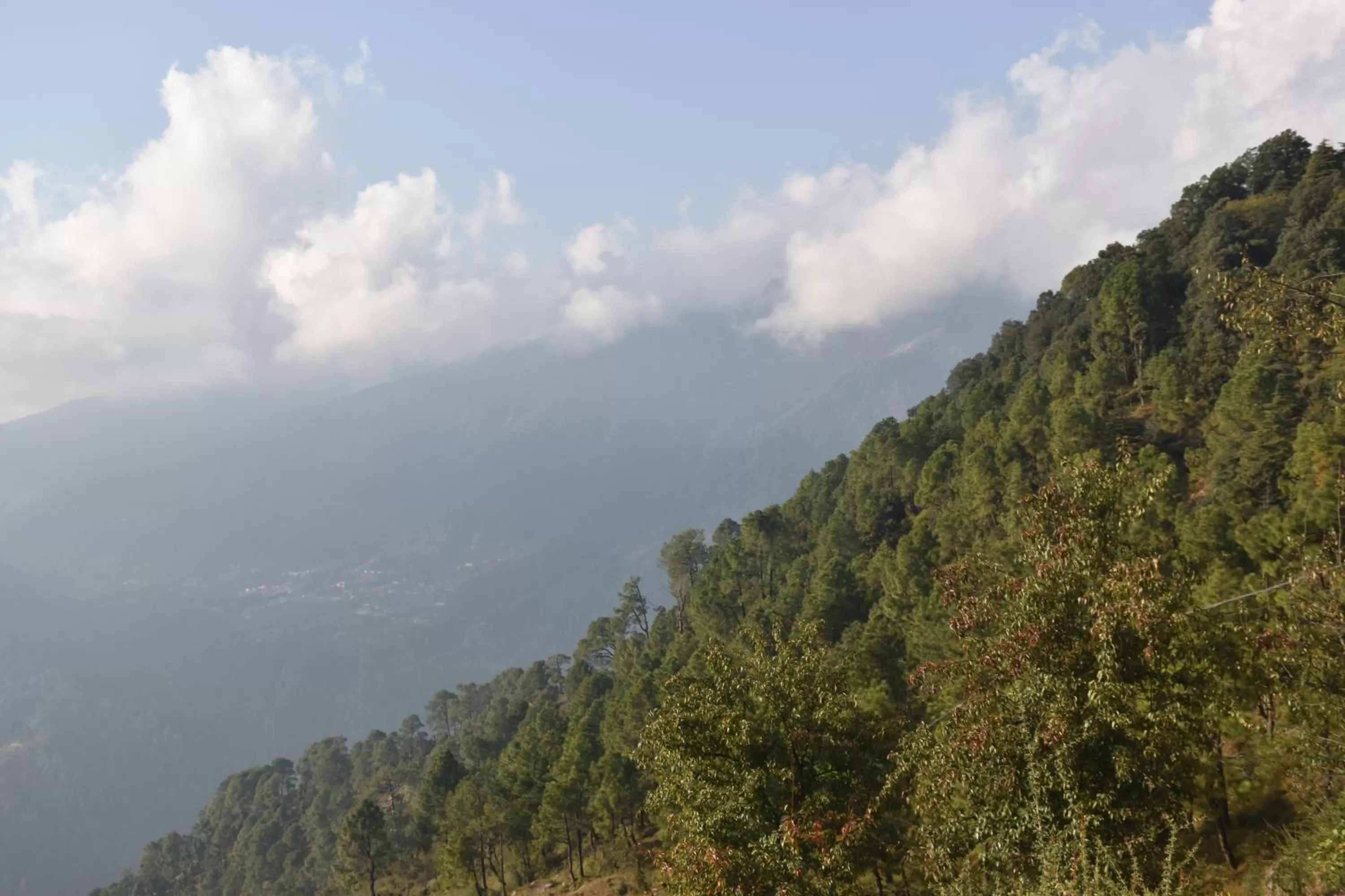 View (from property/room) in Jot Eco Boutique Stays