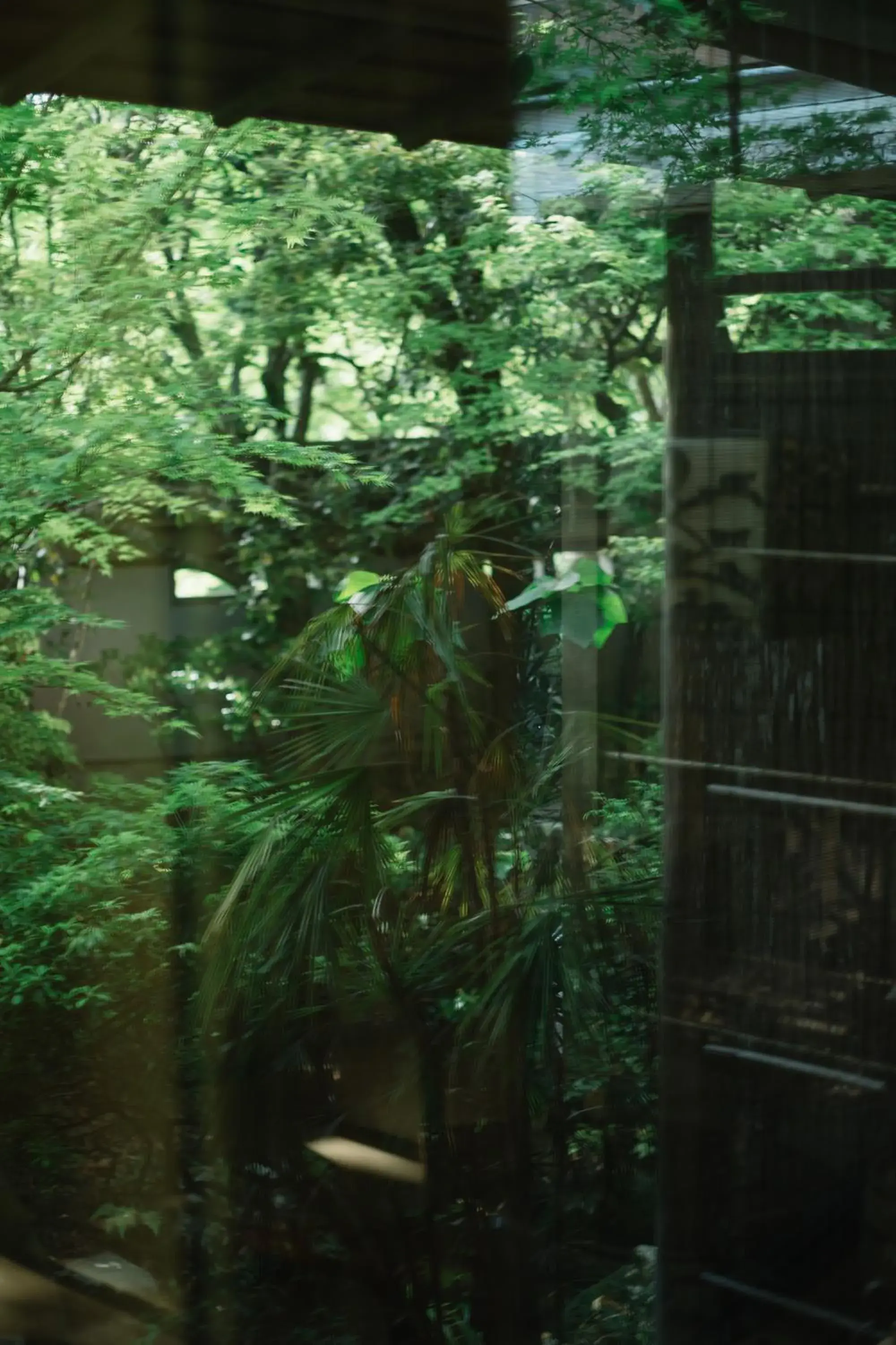 Garden view in Kyoto Nanzenji Ryokan Yachiyo