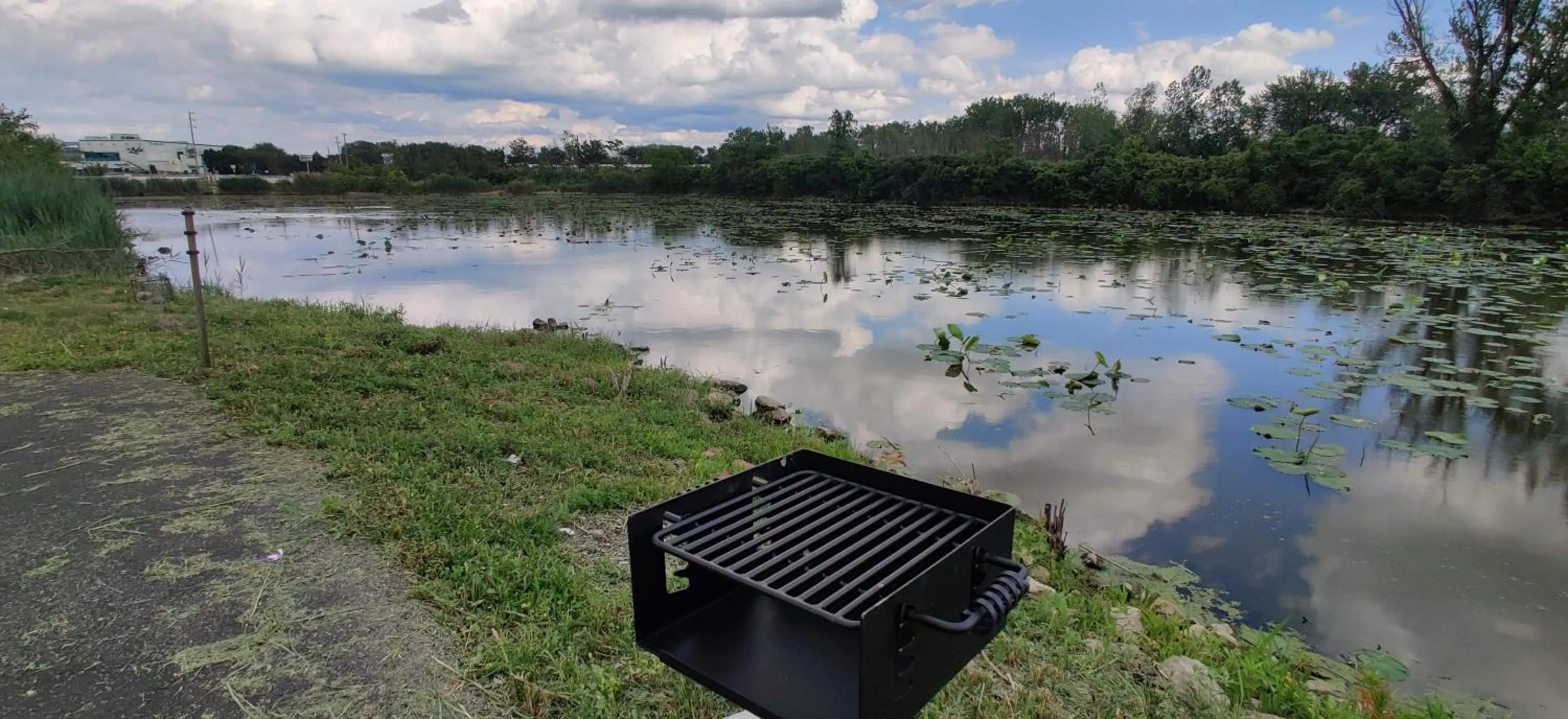 Natural landscape in Cedar Cove