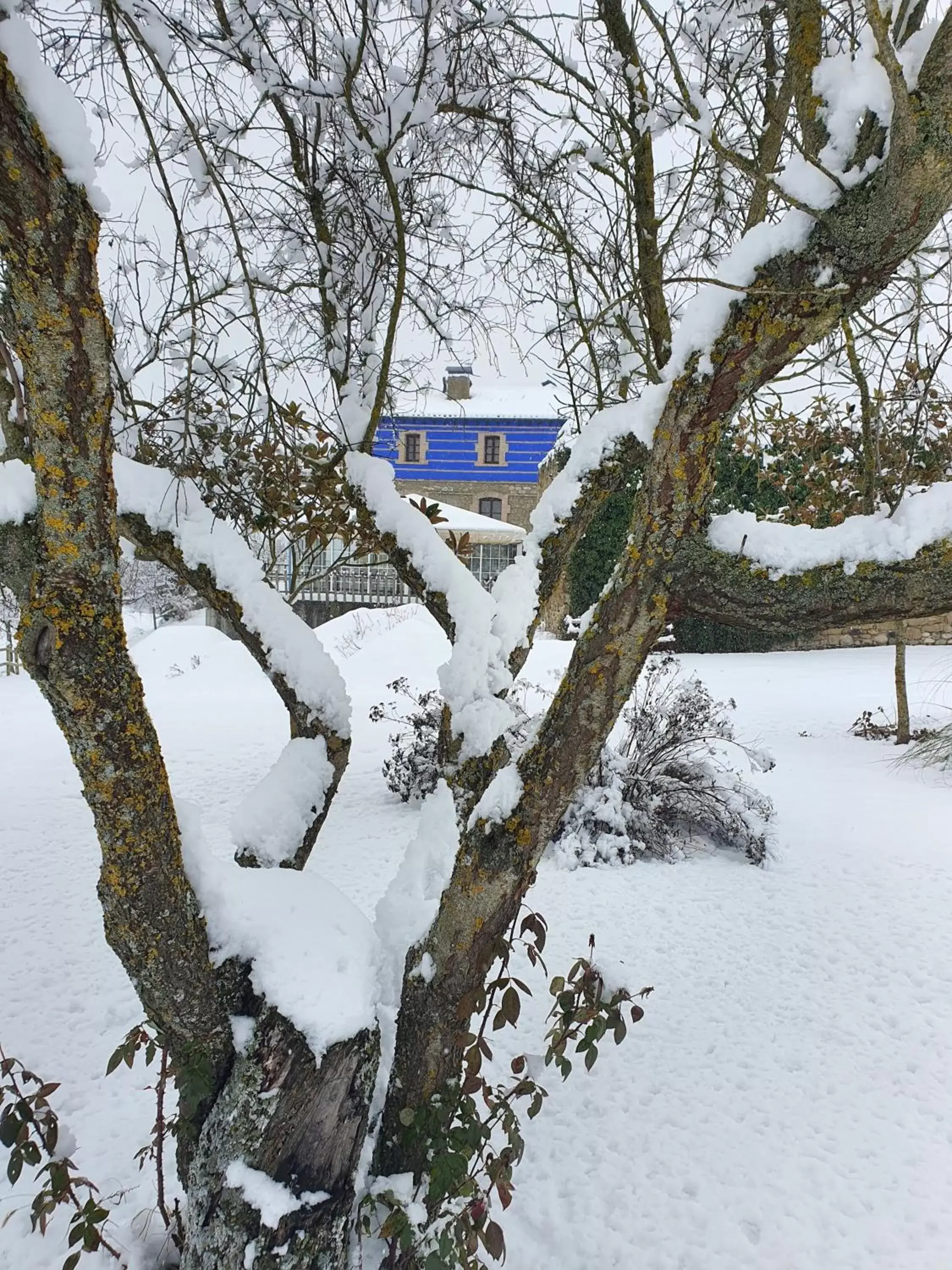 Natural landscape, Winter in Hotel Boutique Bodegas De Arnes - Adults Only