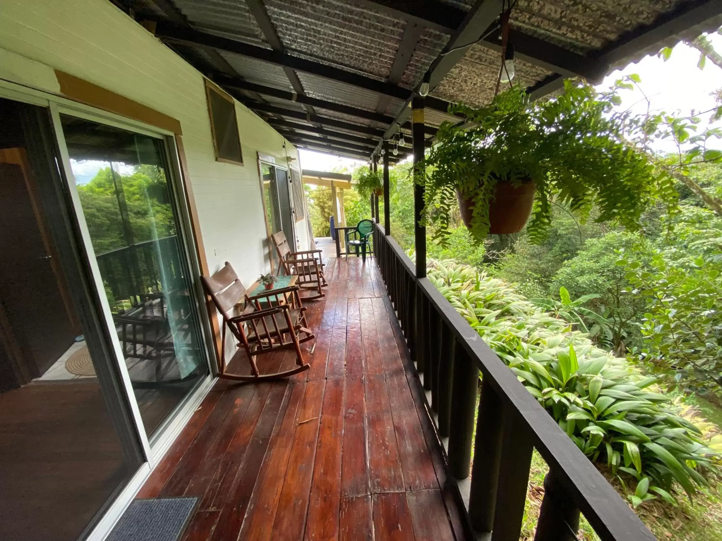 Balcony/Terrace in Birds & Breakfast Costa Rica