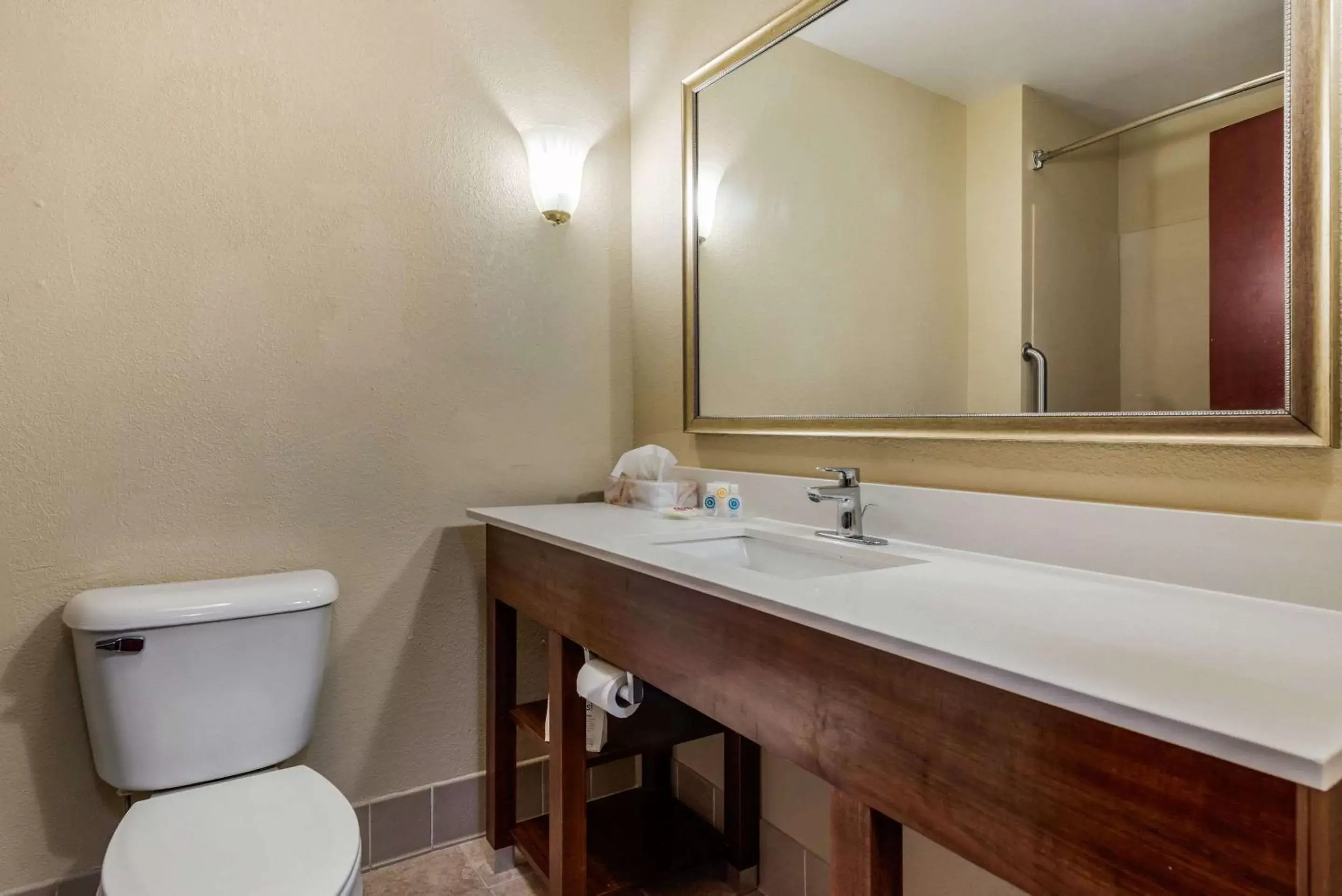 Photo of the whole room, Bathroom in Comfort Suites Dayton-Wright Patterson