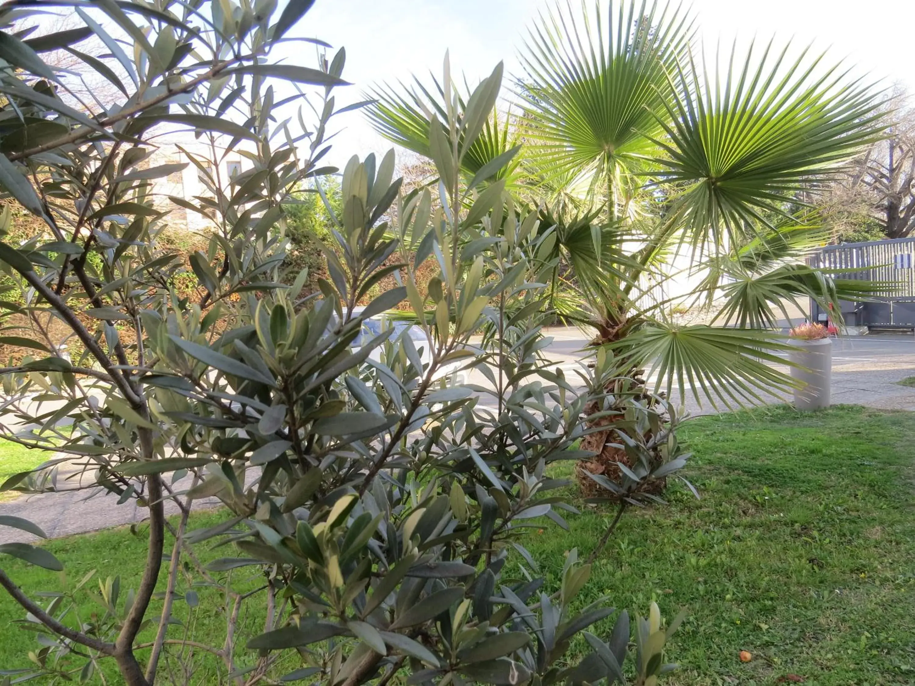 Natural landscape, Garden in Kyriad Avignon Cap Sud