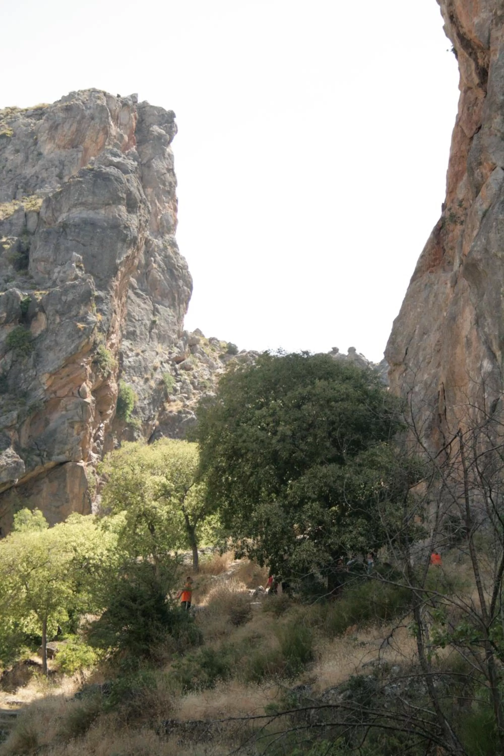 Area and facilities in Hotel Rural Huerta del Laurel