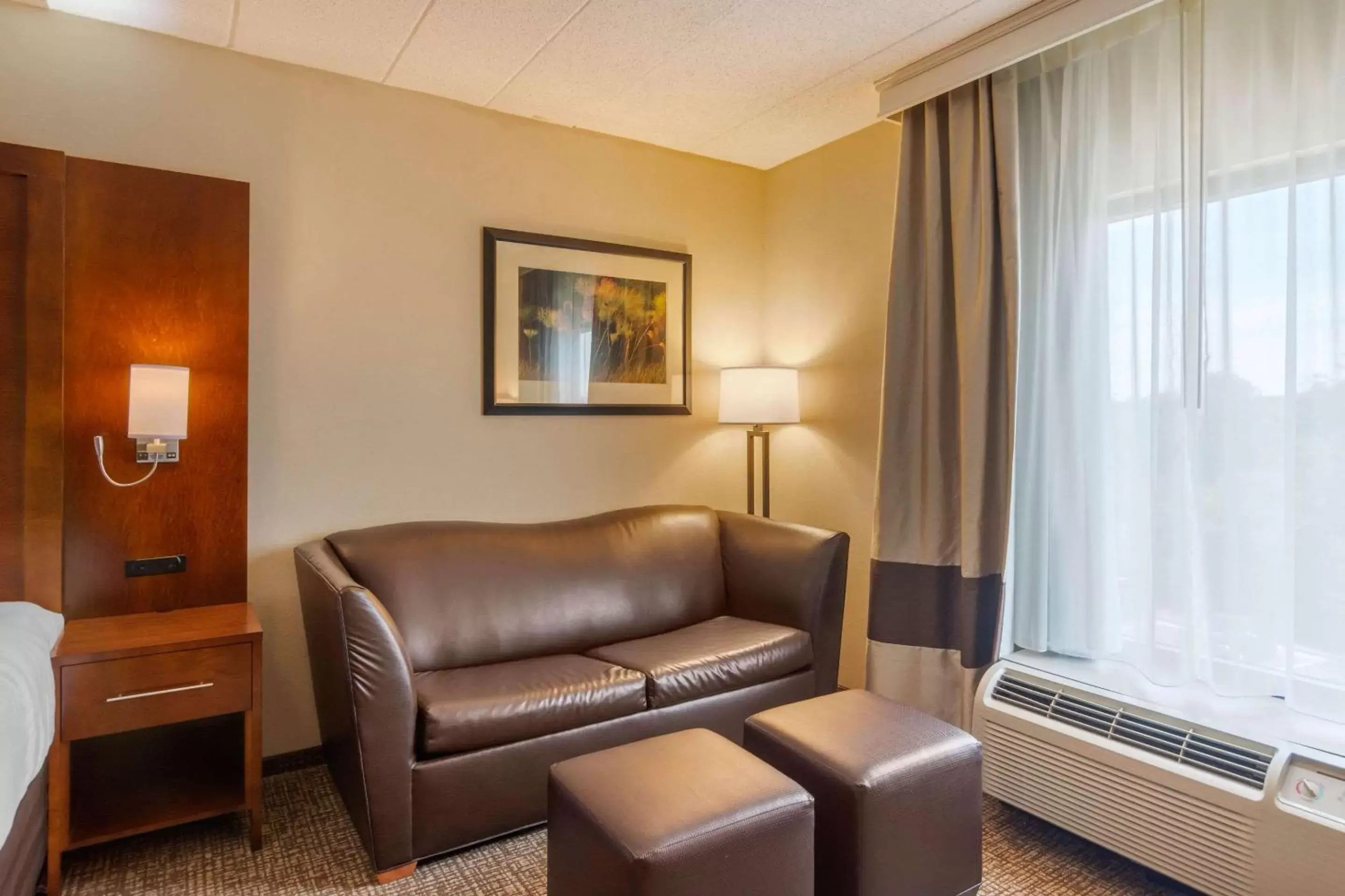 Photo of the whole room, Seating Area in Comfort Suites Southpark