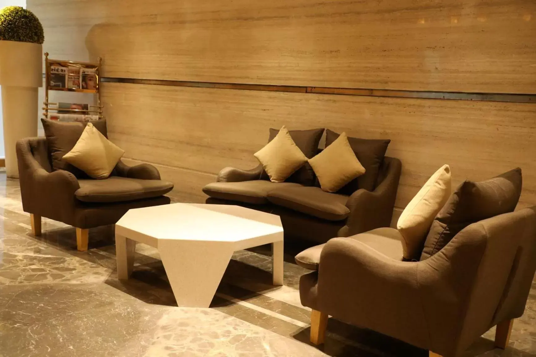 Seating Area in The Fern Residency, Morbi