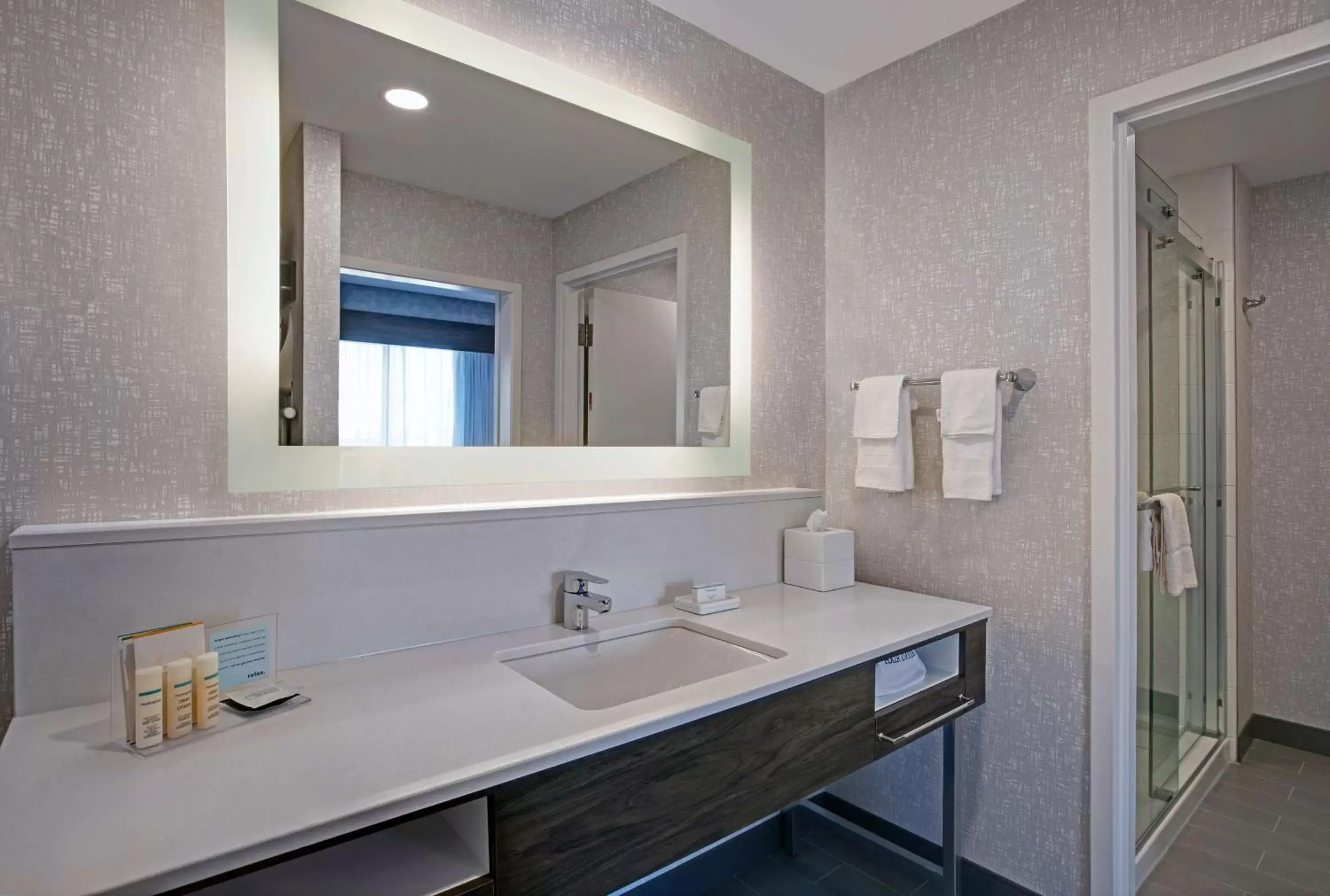 Bathroom in Hampton Inn & Suites By Hilton Waterloo St. Jacobs