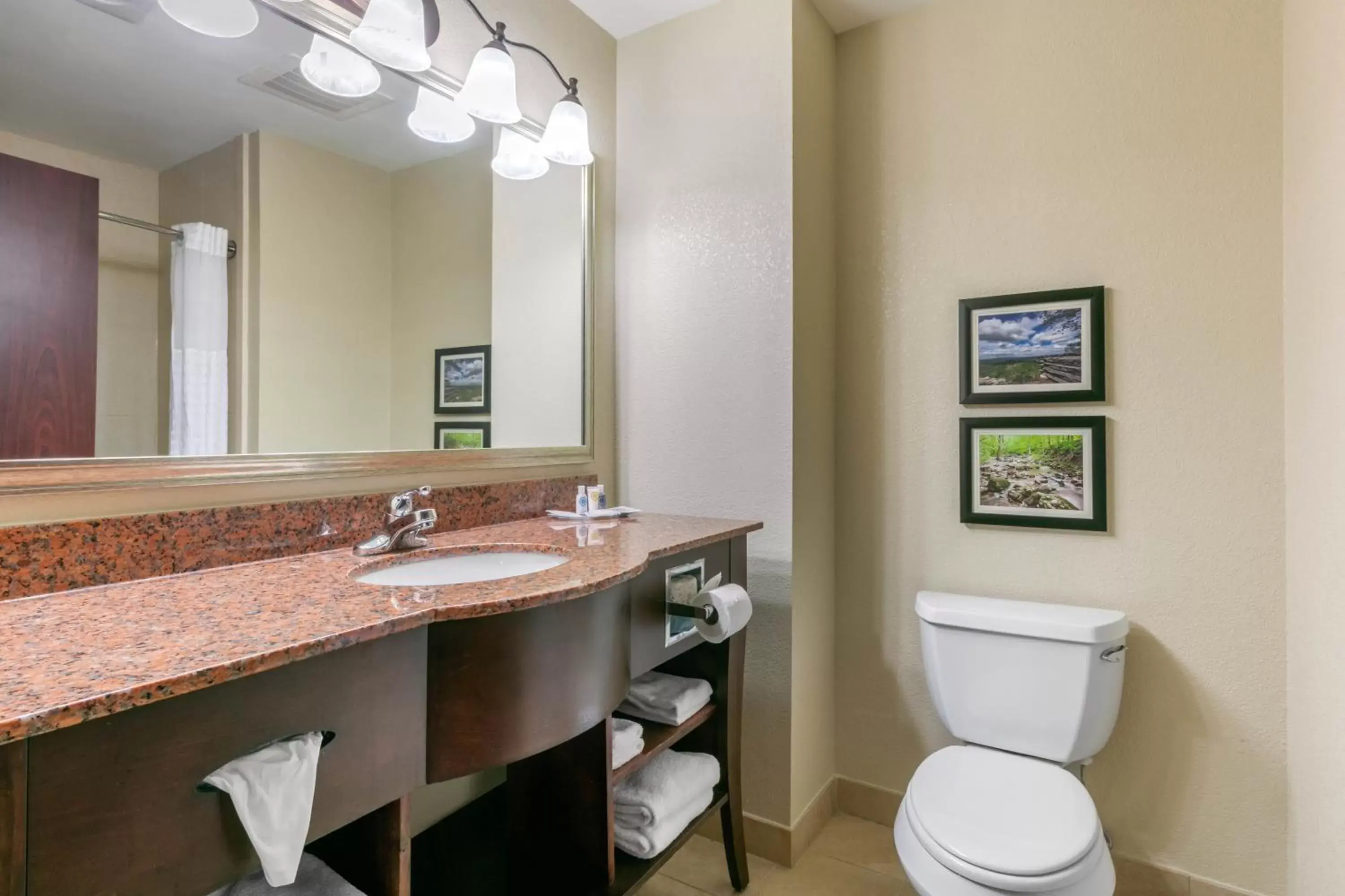 Bathroom in Comfort Suites Forrest City