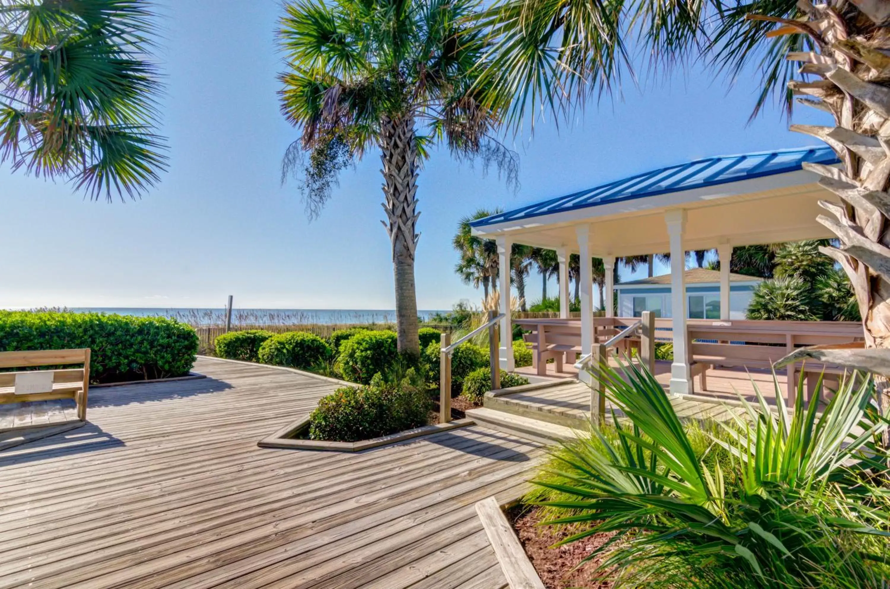 Sea view, Swimming Pool in Forest Dunes Resort