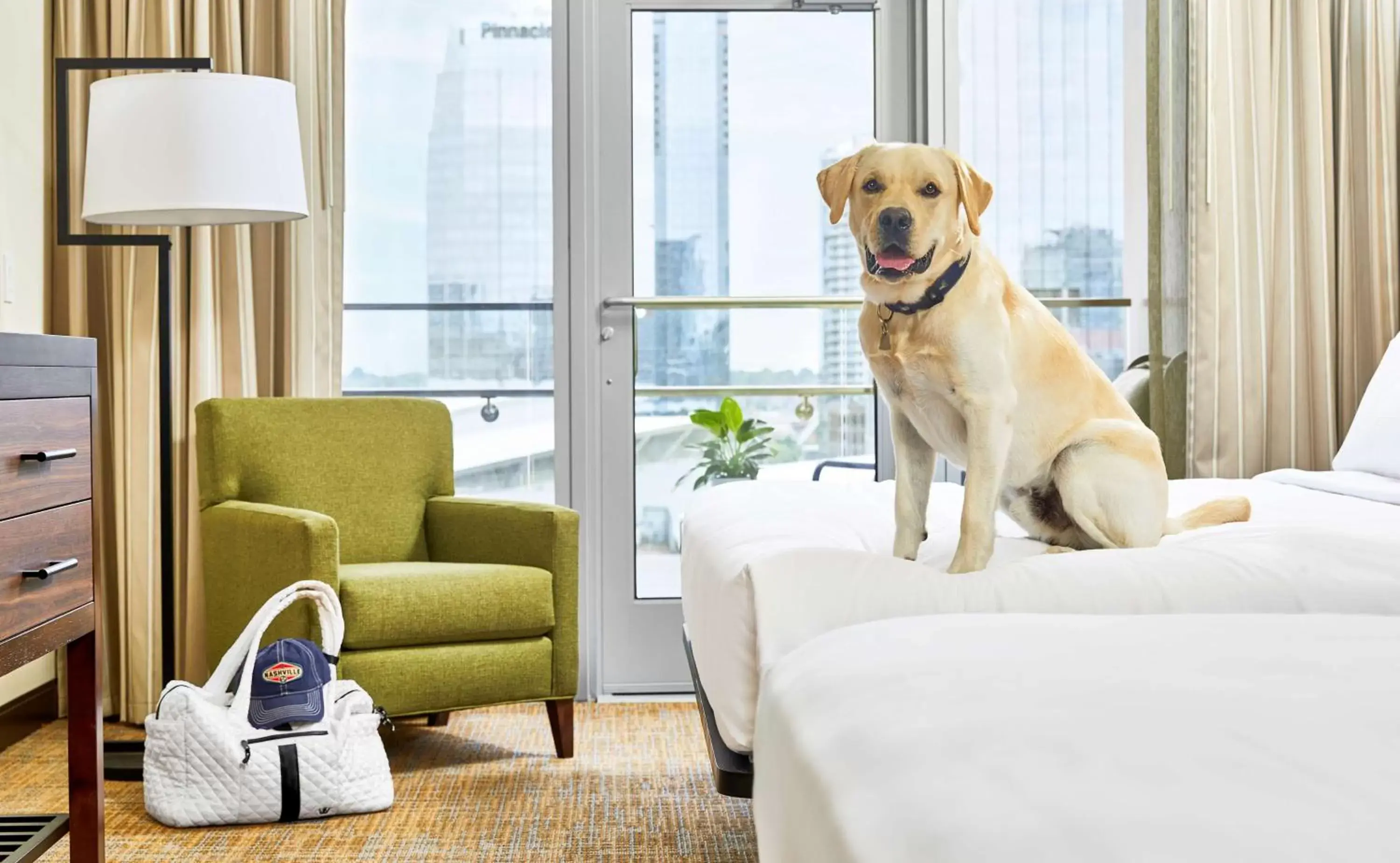 Bed, Pets in Embassy Suites by Hilton Nashville Downtown