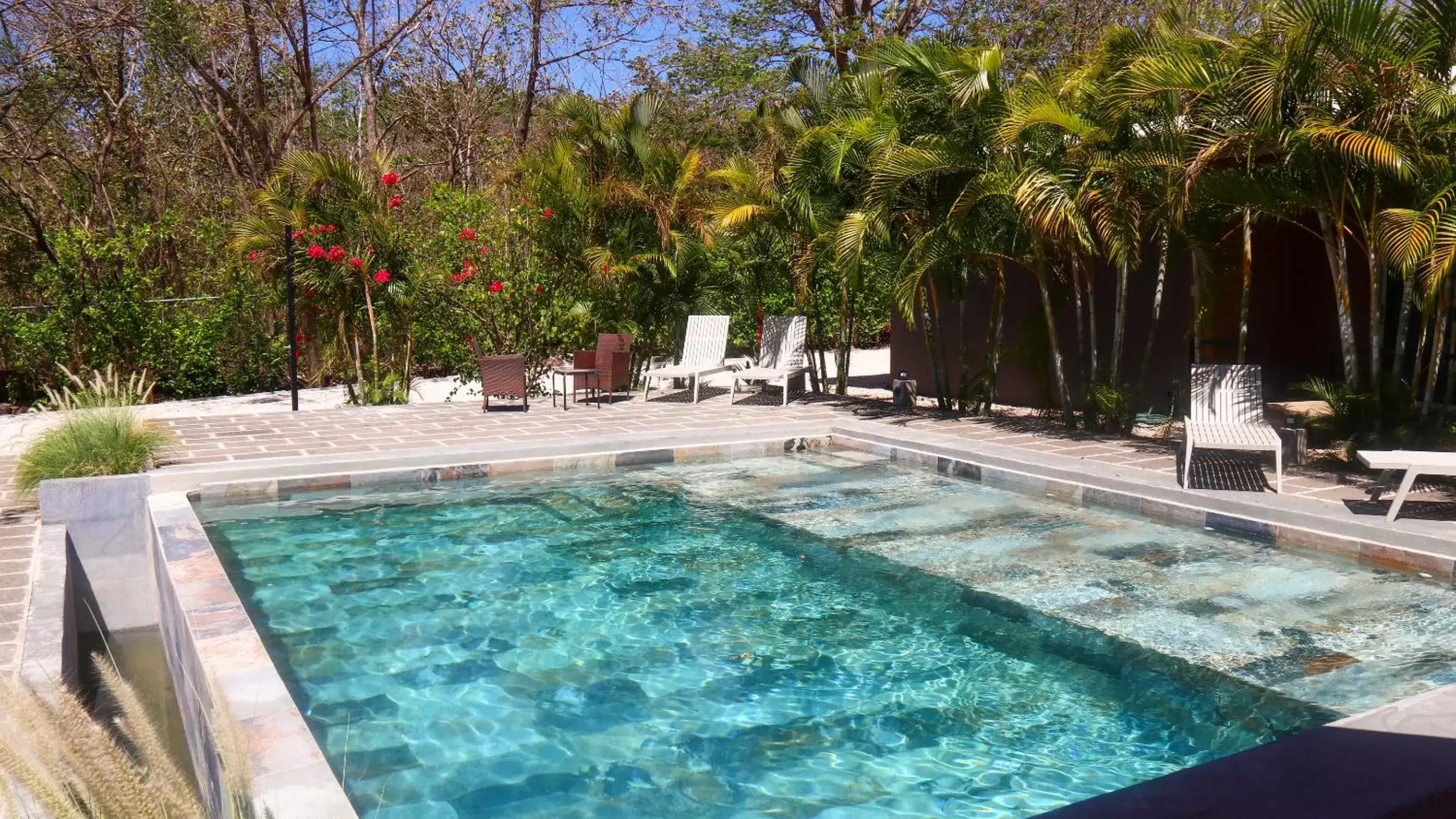 Pool view, Swimming Pool in Tee-K Lodge Tamarindo