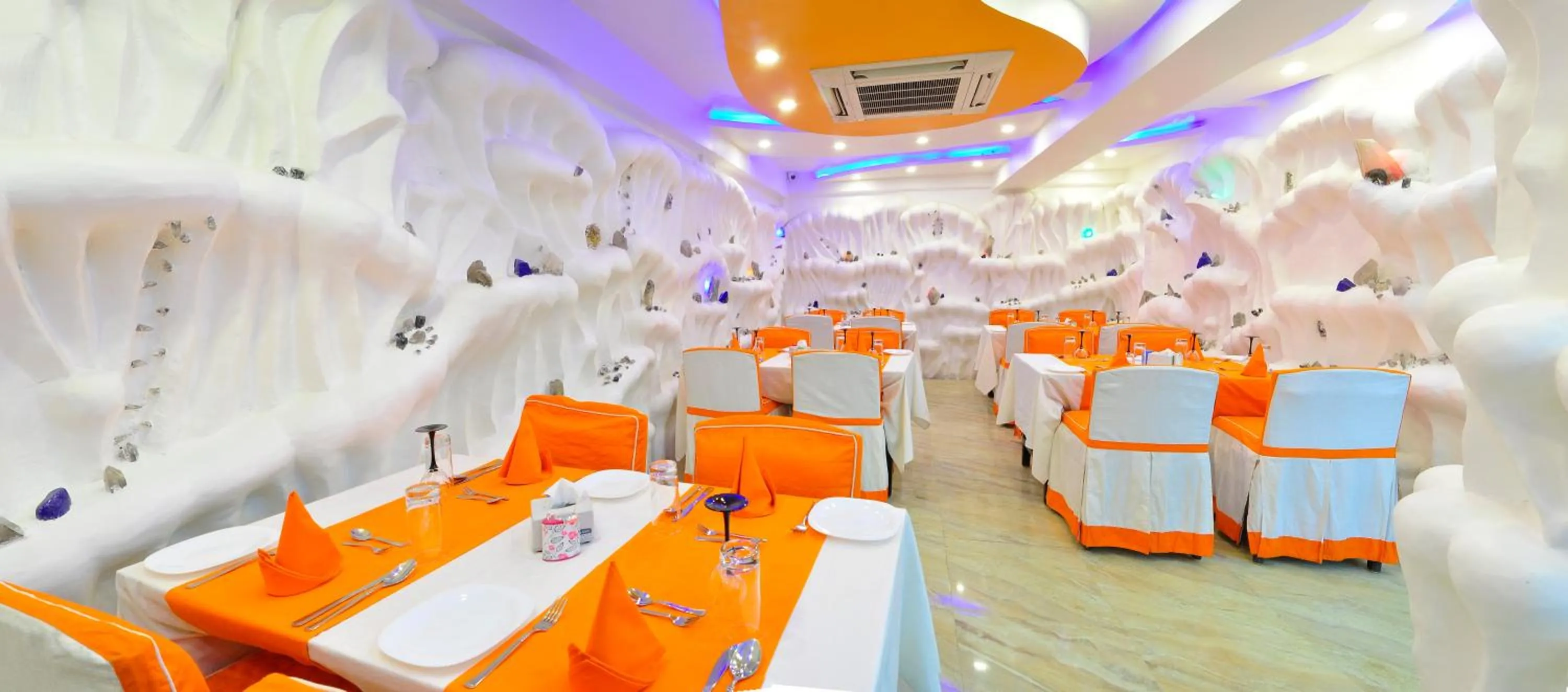 Banquet/Function facilities in Royal Penguin Boutique Hotel & Spa