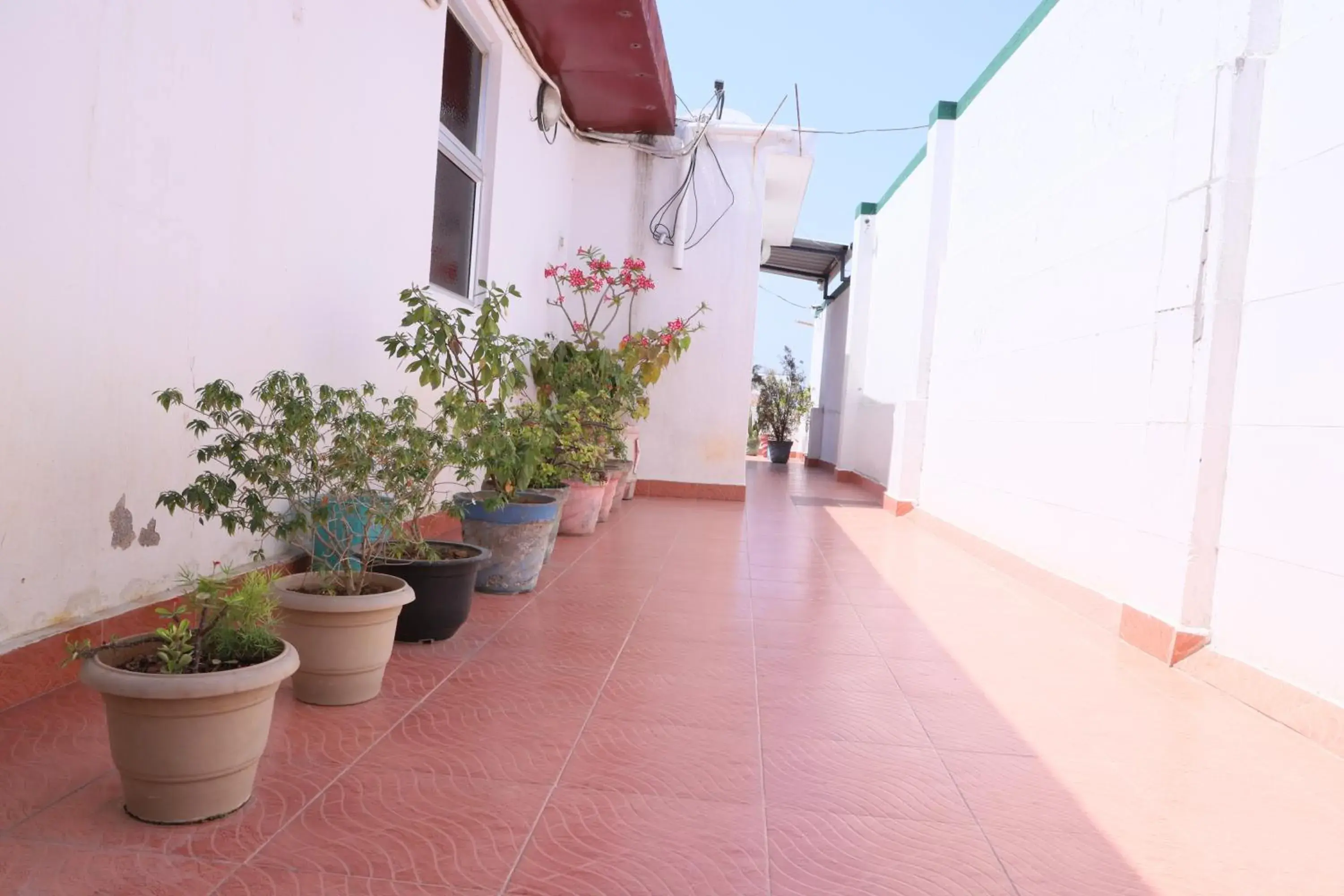 Patio in Just Guest House