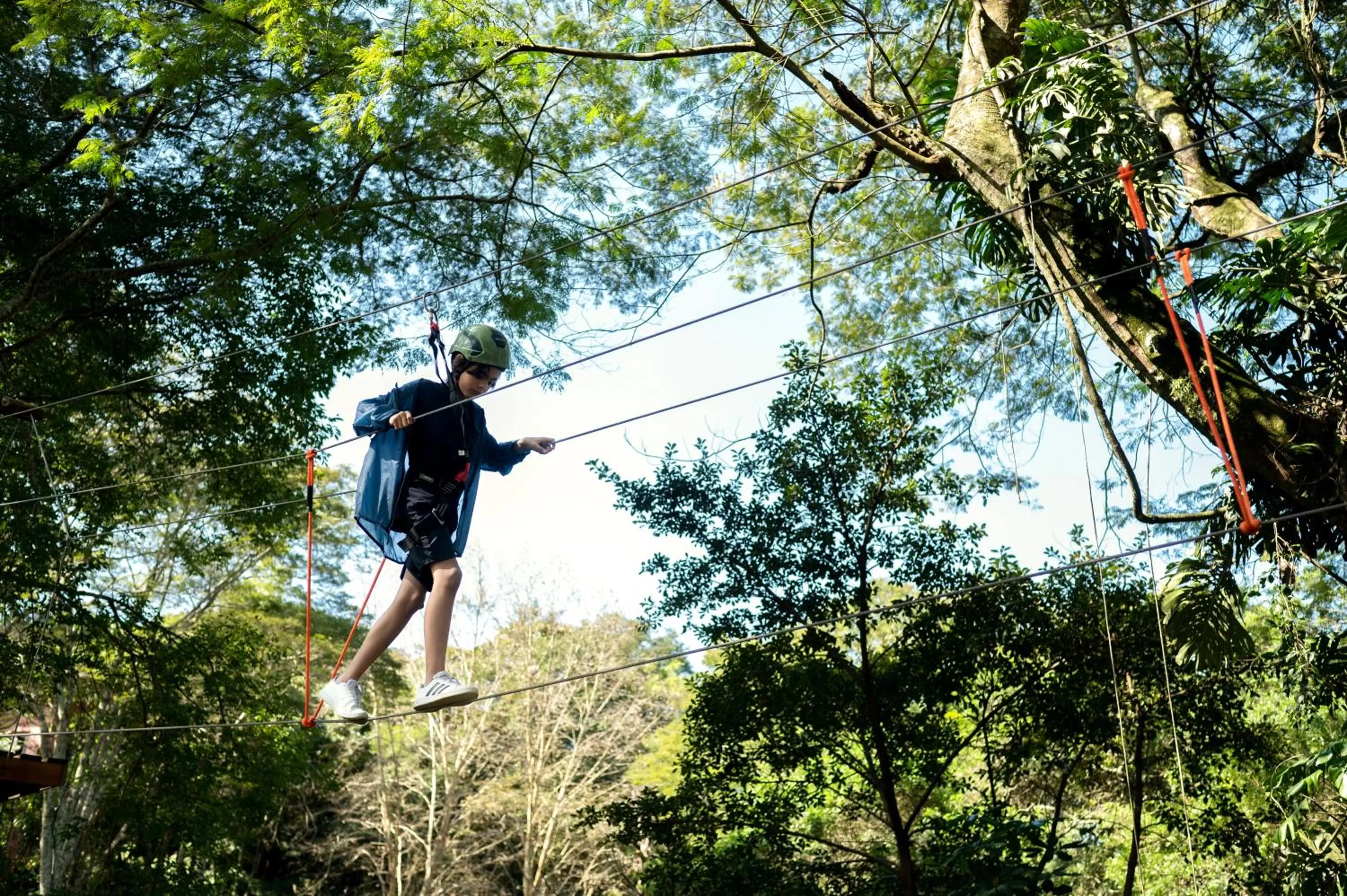 Natural landscape in Hotel Villa Rossa