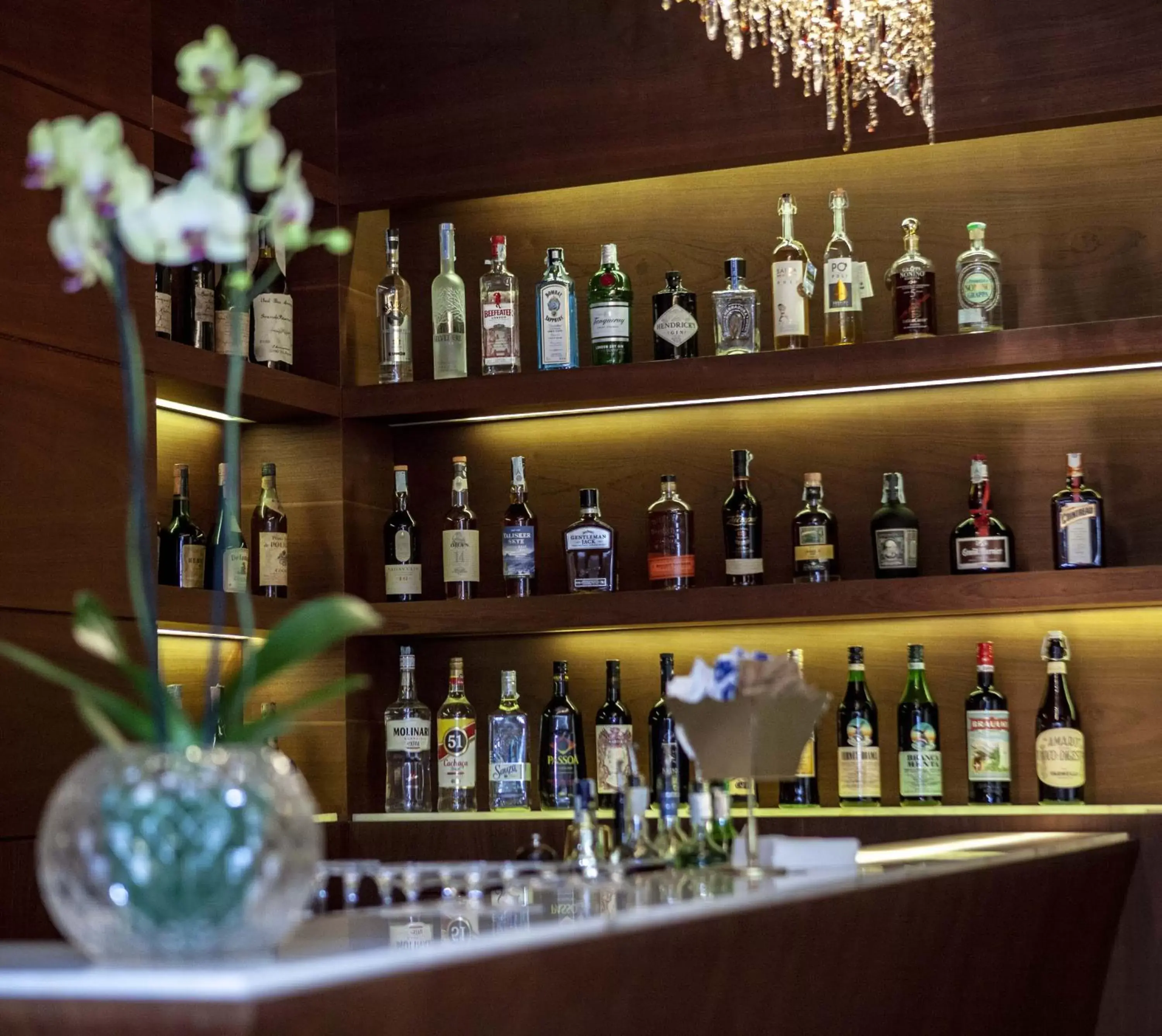 Lounge or bar in Hotel Rua Frati 48 in San Francesco Lounge or bar in Hotel Rua Frati 48 in San Francesco