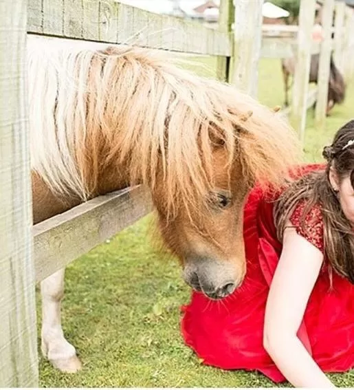 Property building, Pets in Charnock Farm Motel