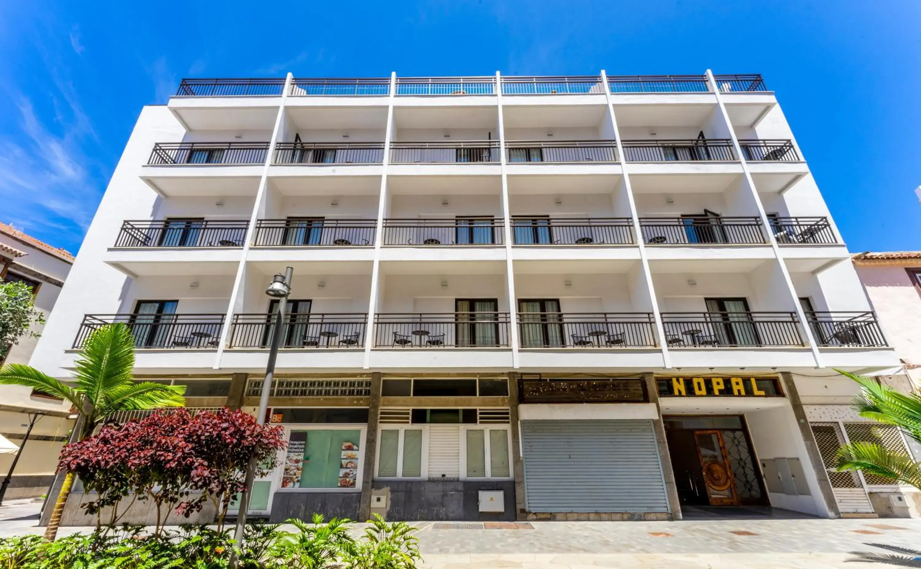 Property building in DWO Nopal Property building in DWO Nopal