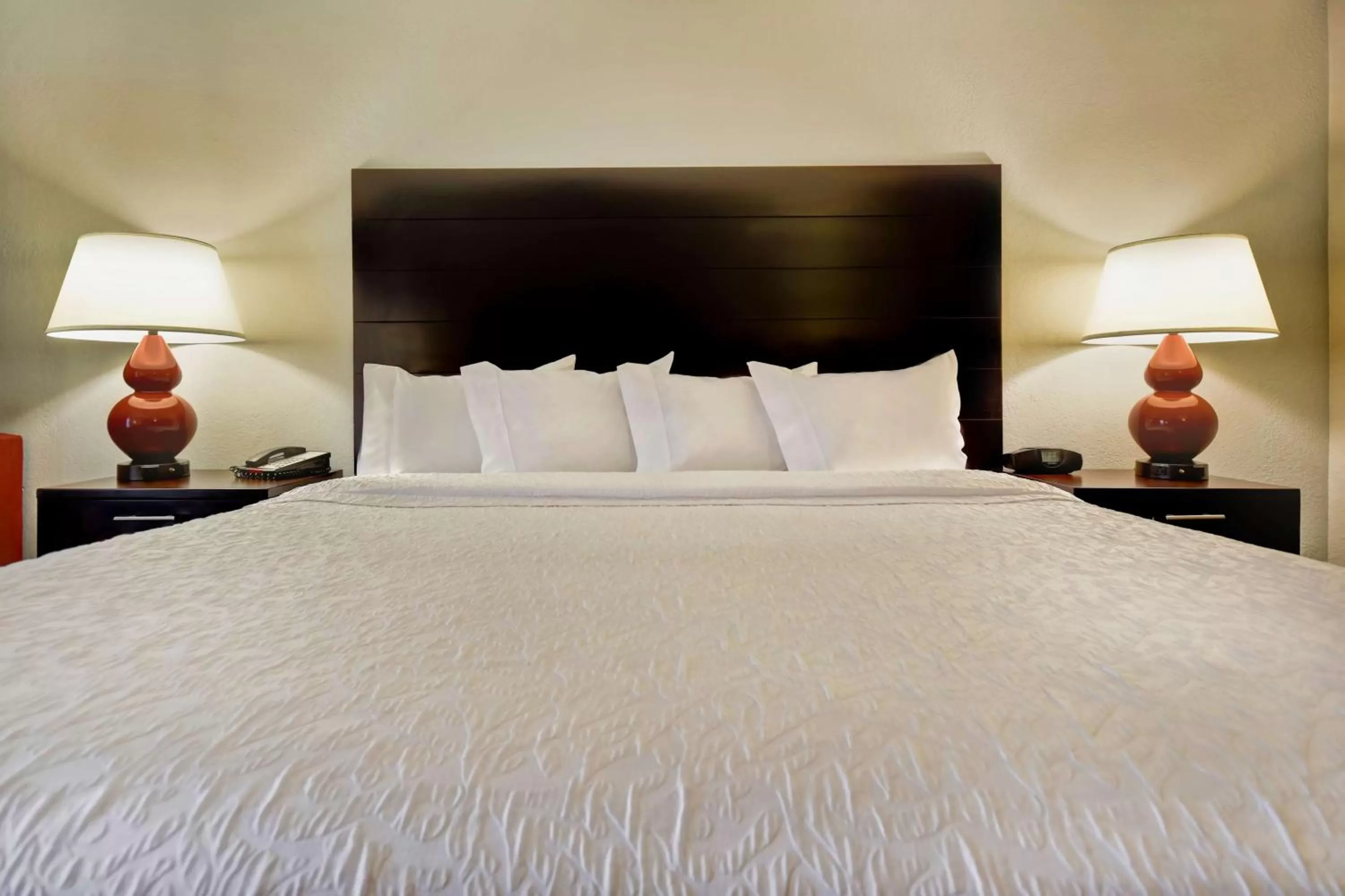 King Suite in Hampton Inn Starkville