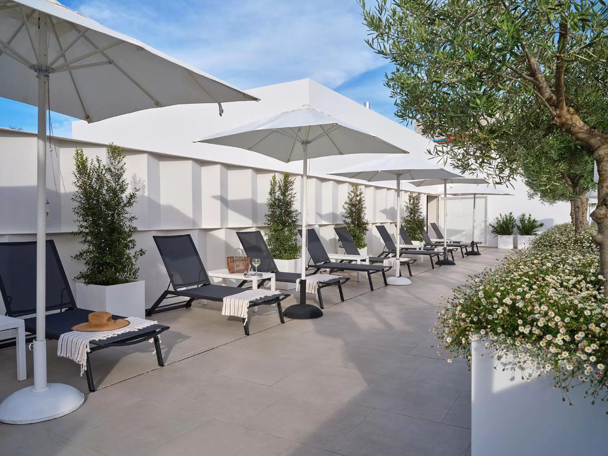 Solarium in Hotel Rey Alfonso X