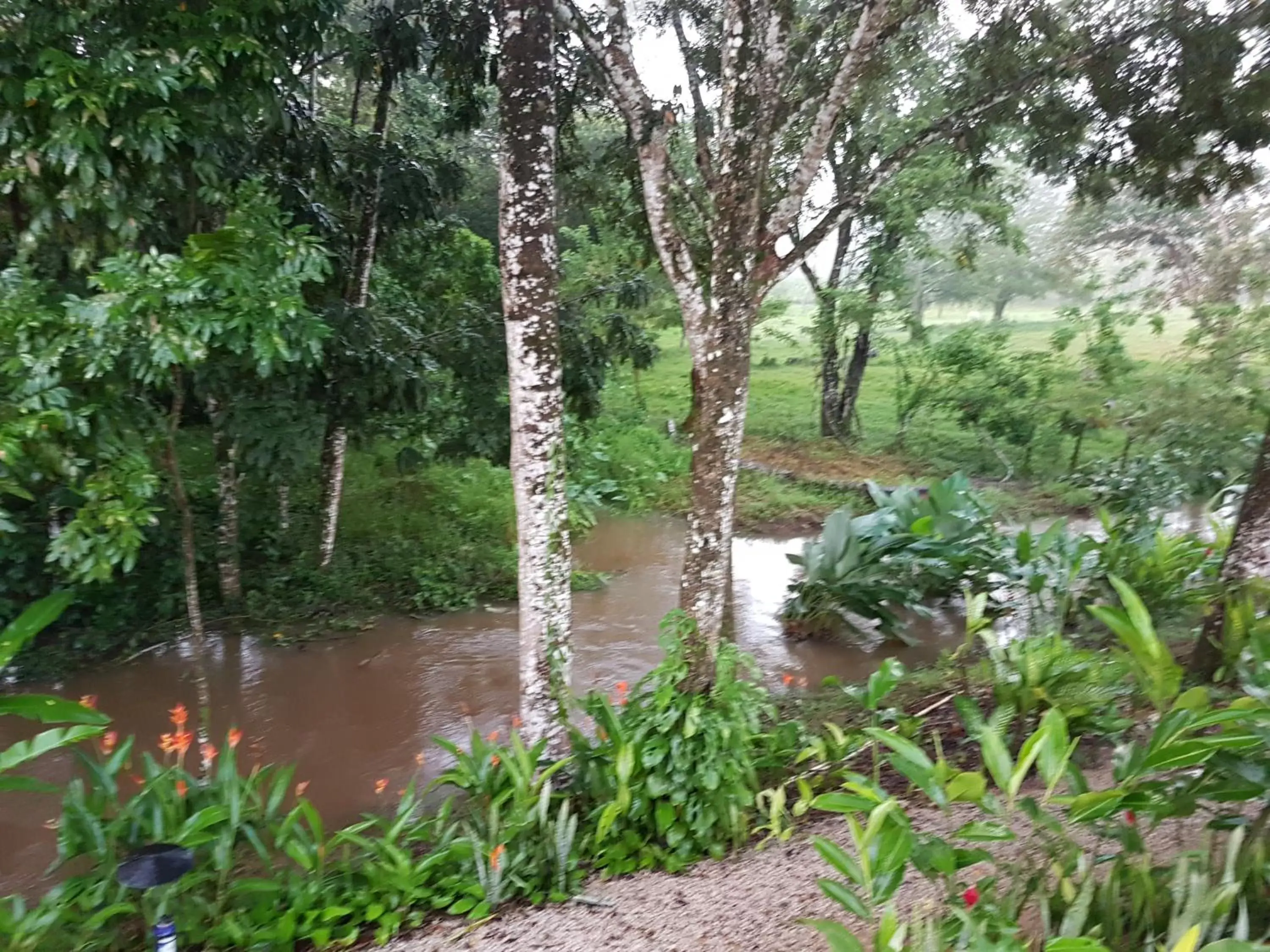 River view in Auto Hotel Paraíso Inn