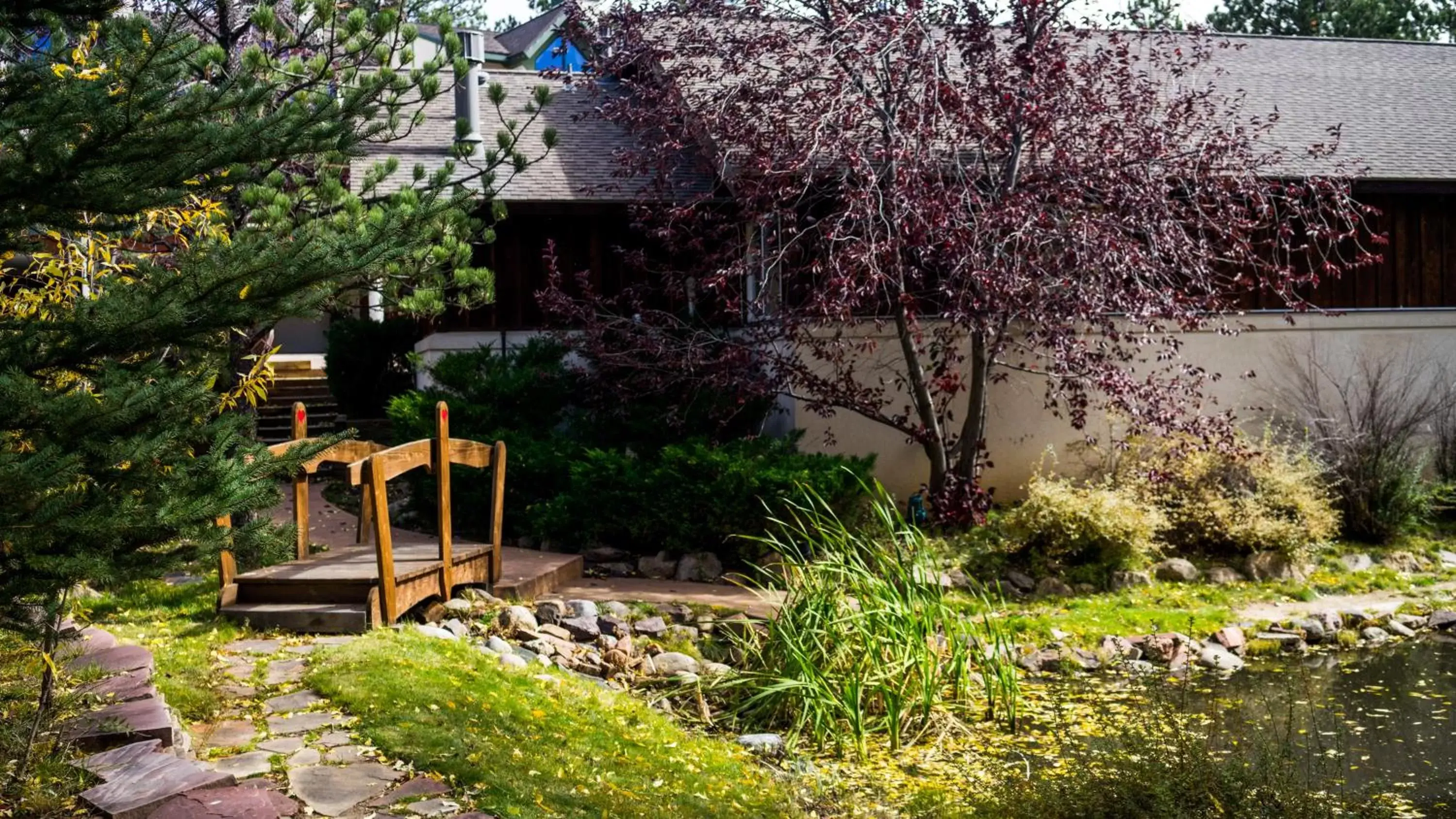 Patio, Garden in Appenzell Inn