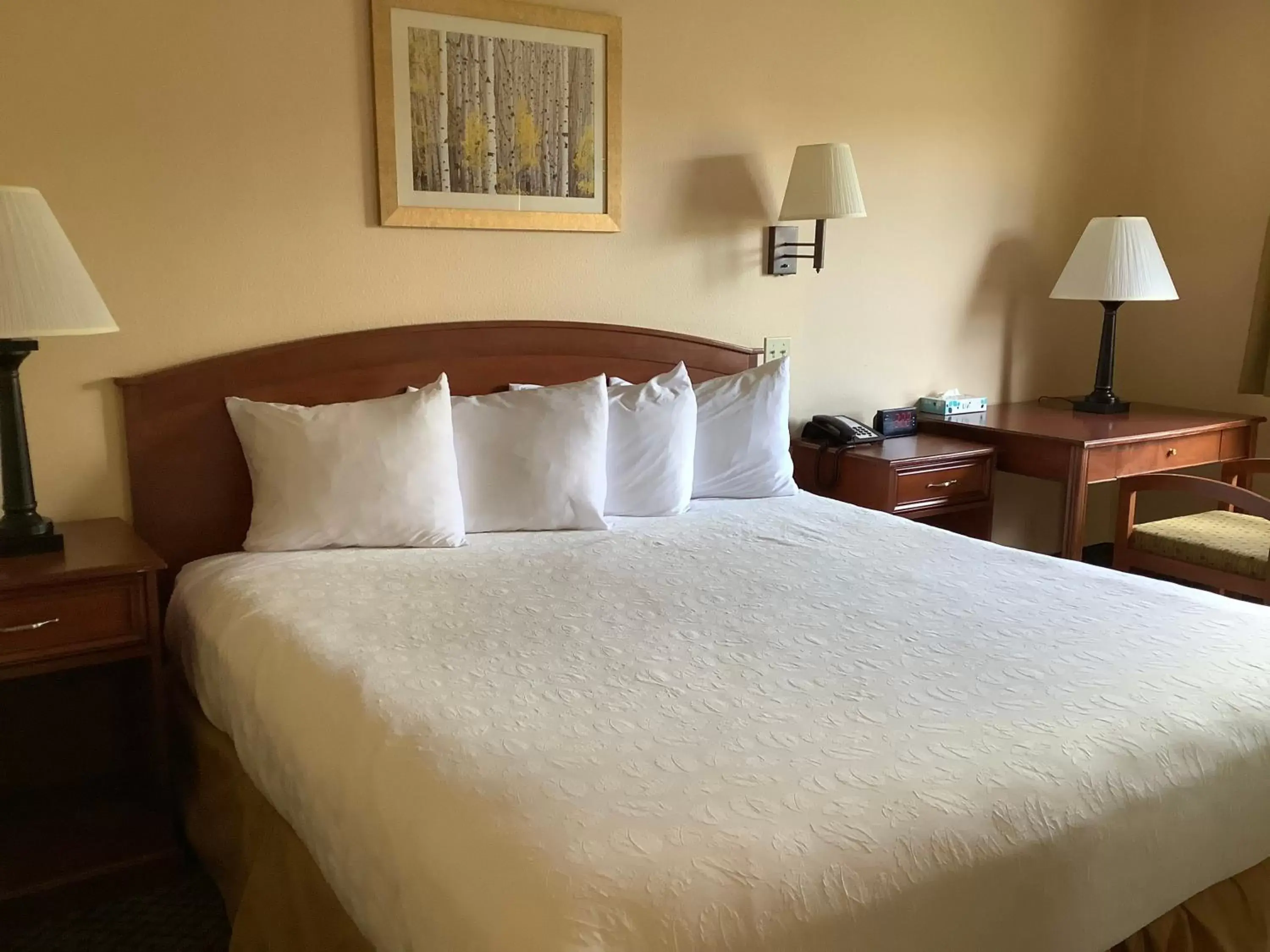 Bed in Luxury Inn & Suites