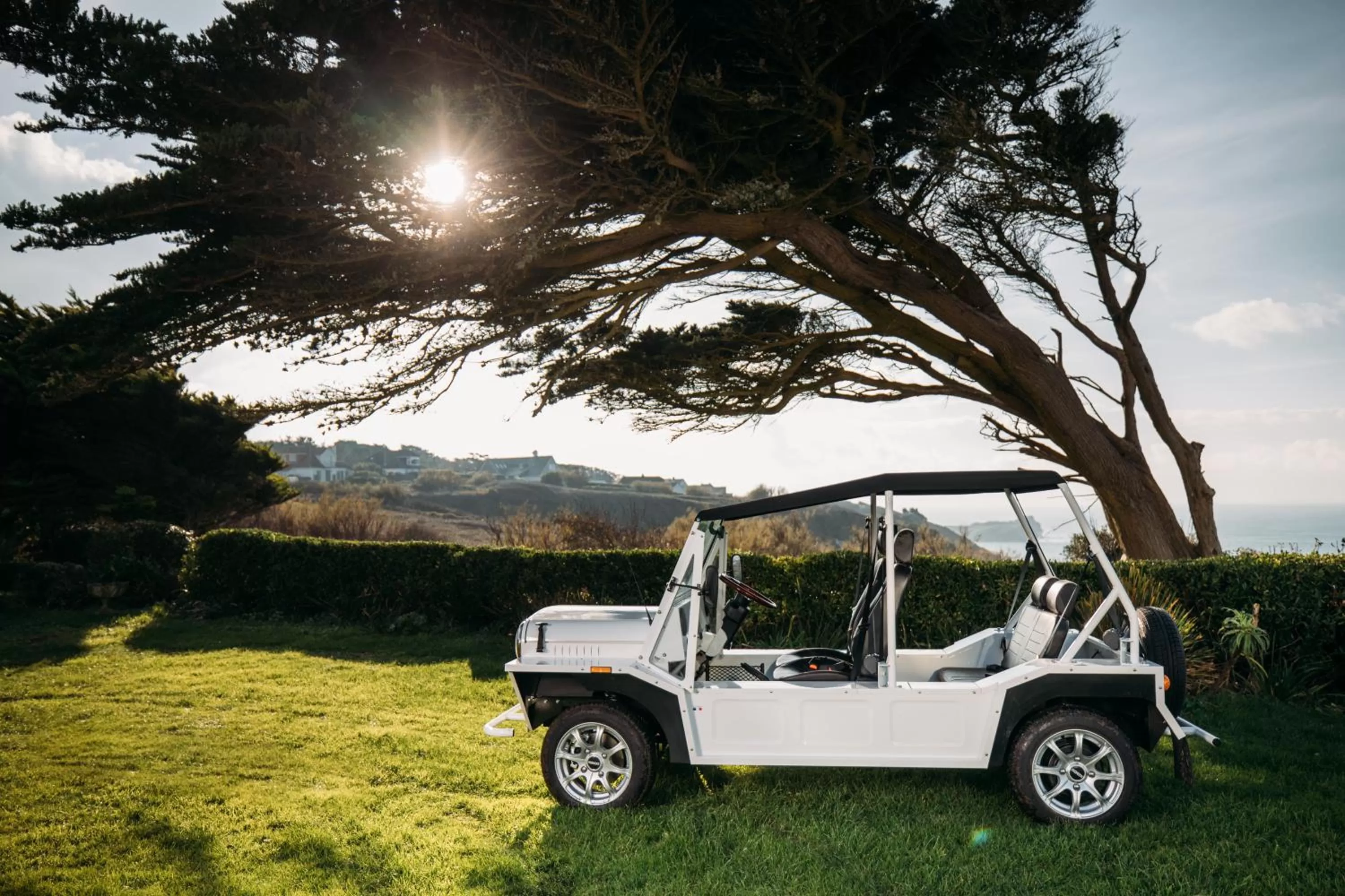 Garden in Polurrian on the Lizard