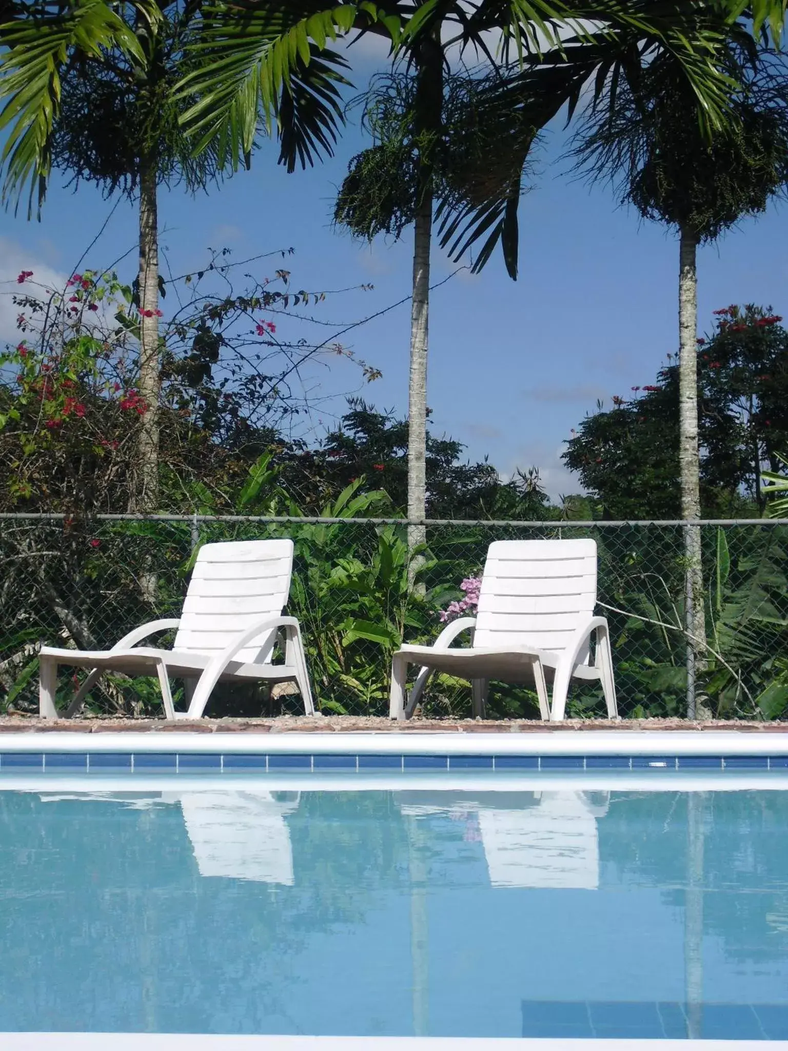 Swimming Pool in Tamarind Great House