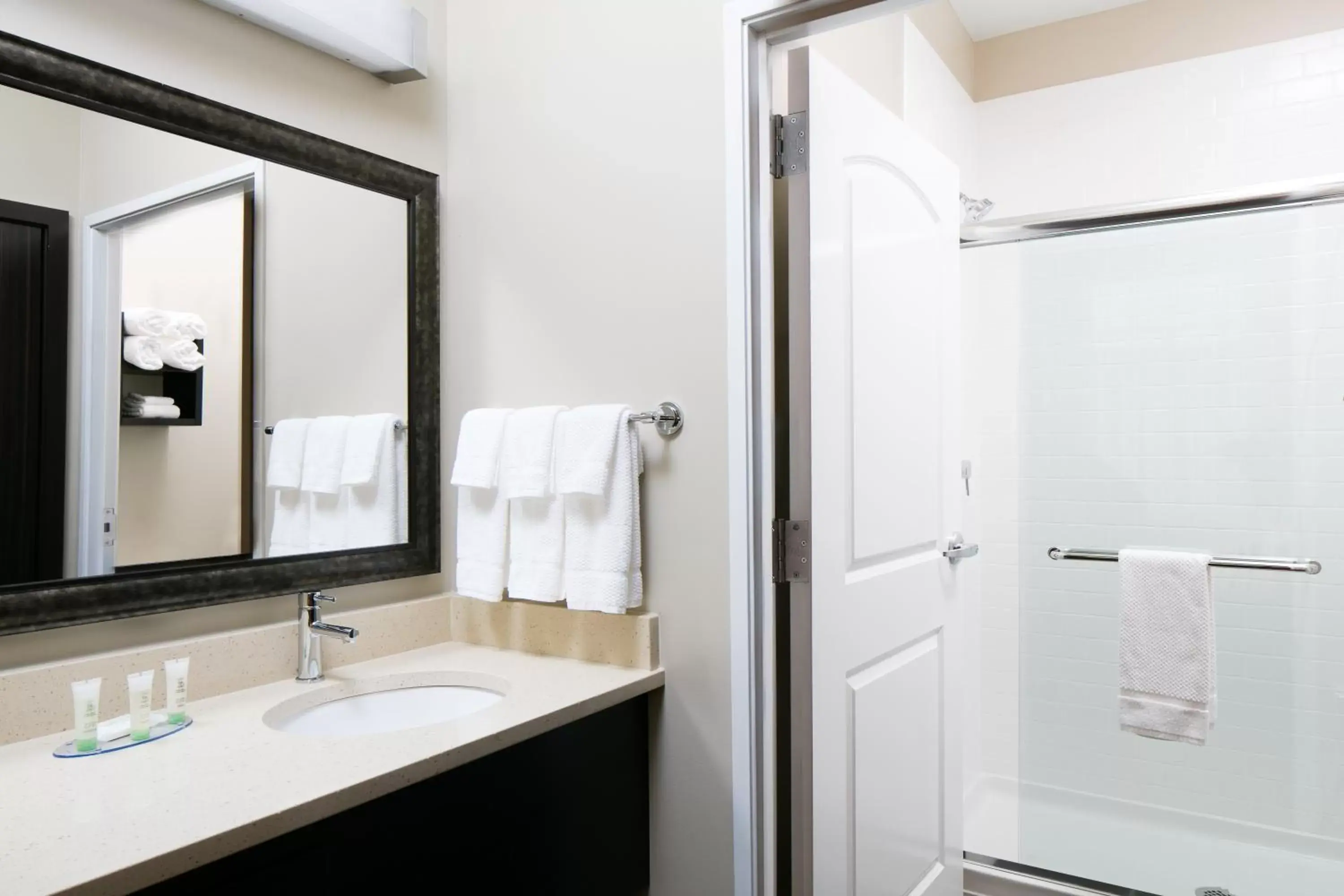 Bathroom in Staybridge Suites Des Moines Downtown, an IHG Hotel