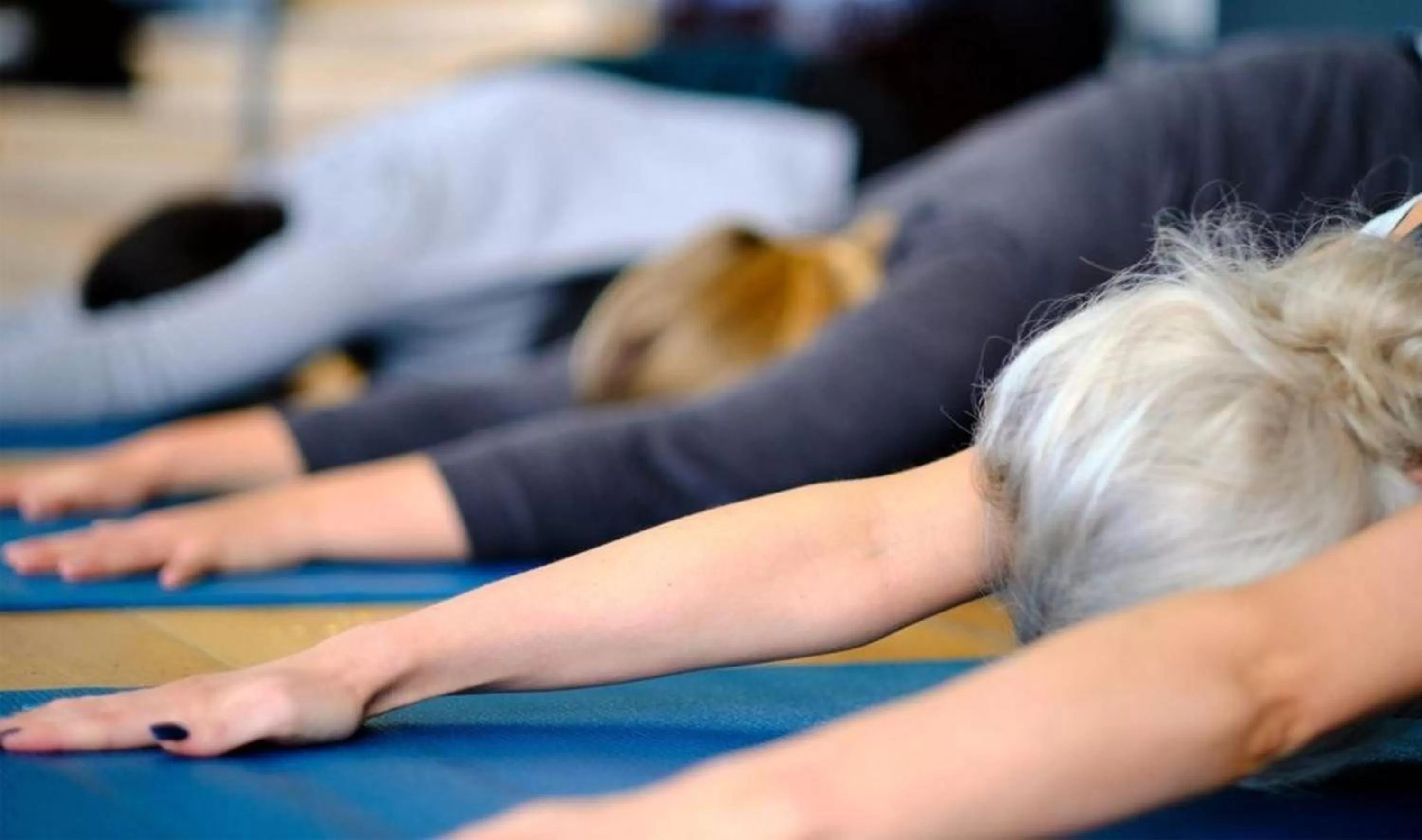 Activities in Polurrian on the Lizard