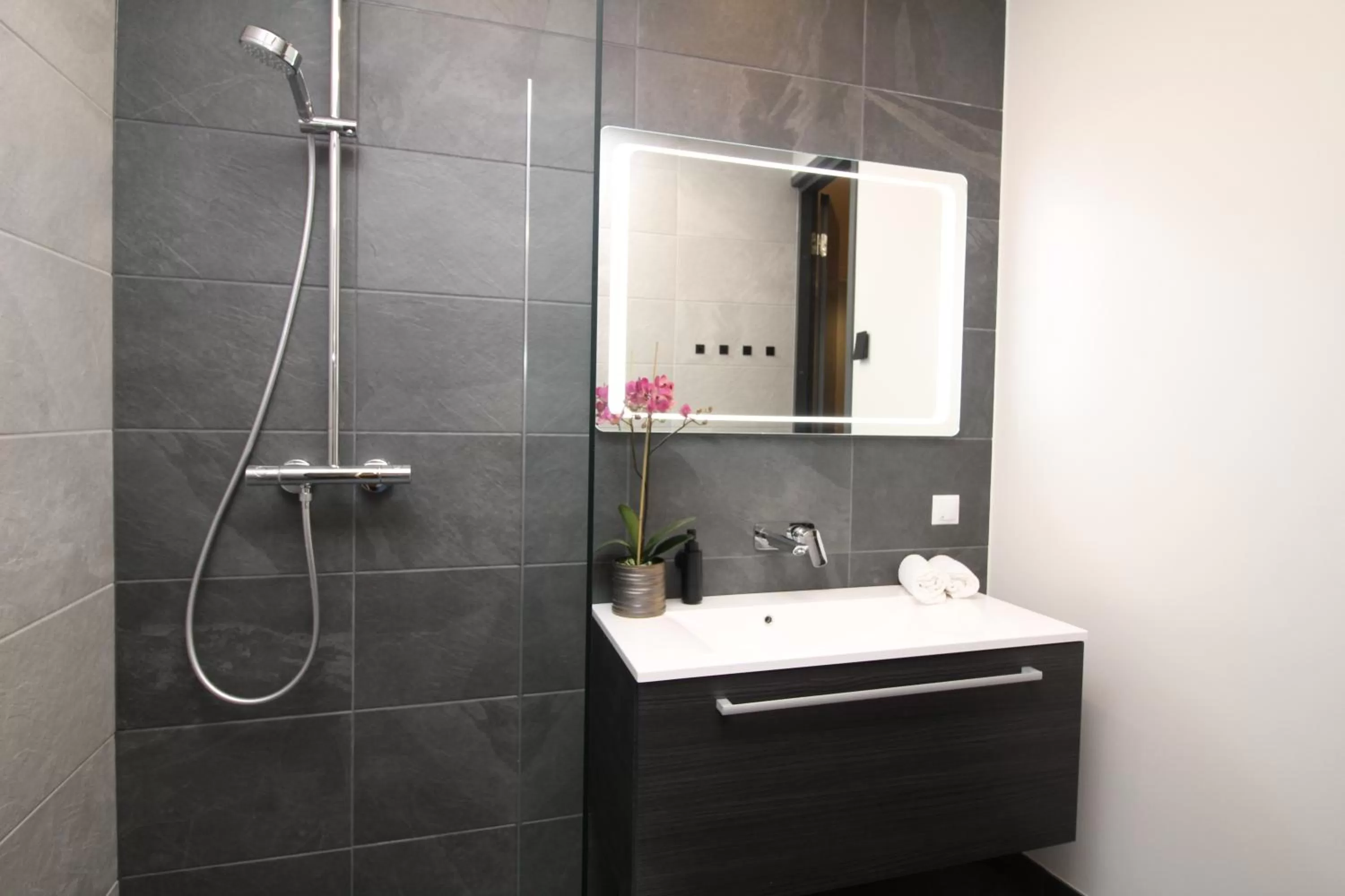 Shower in Tallinn City Apartments Old Town Suites