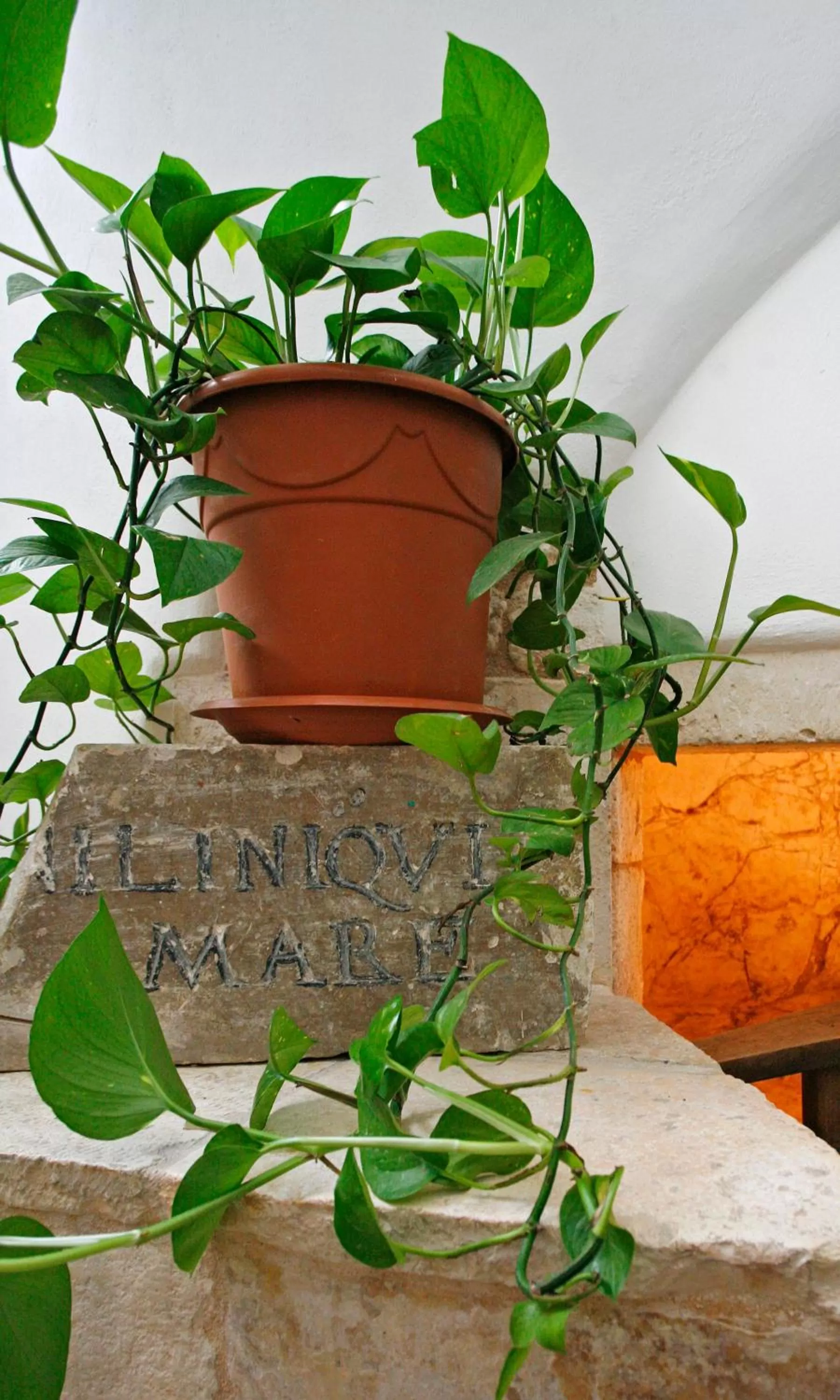 Decorative detail in Hotel La Terra