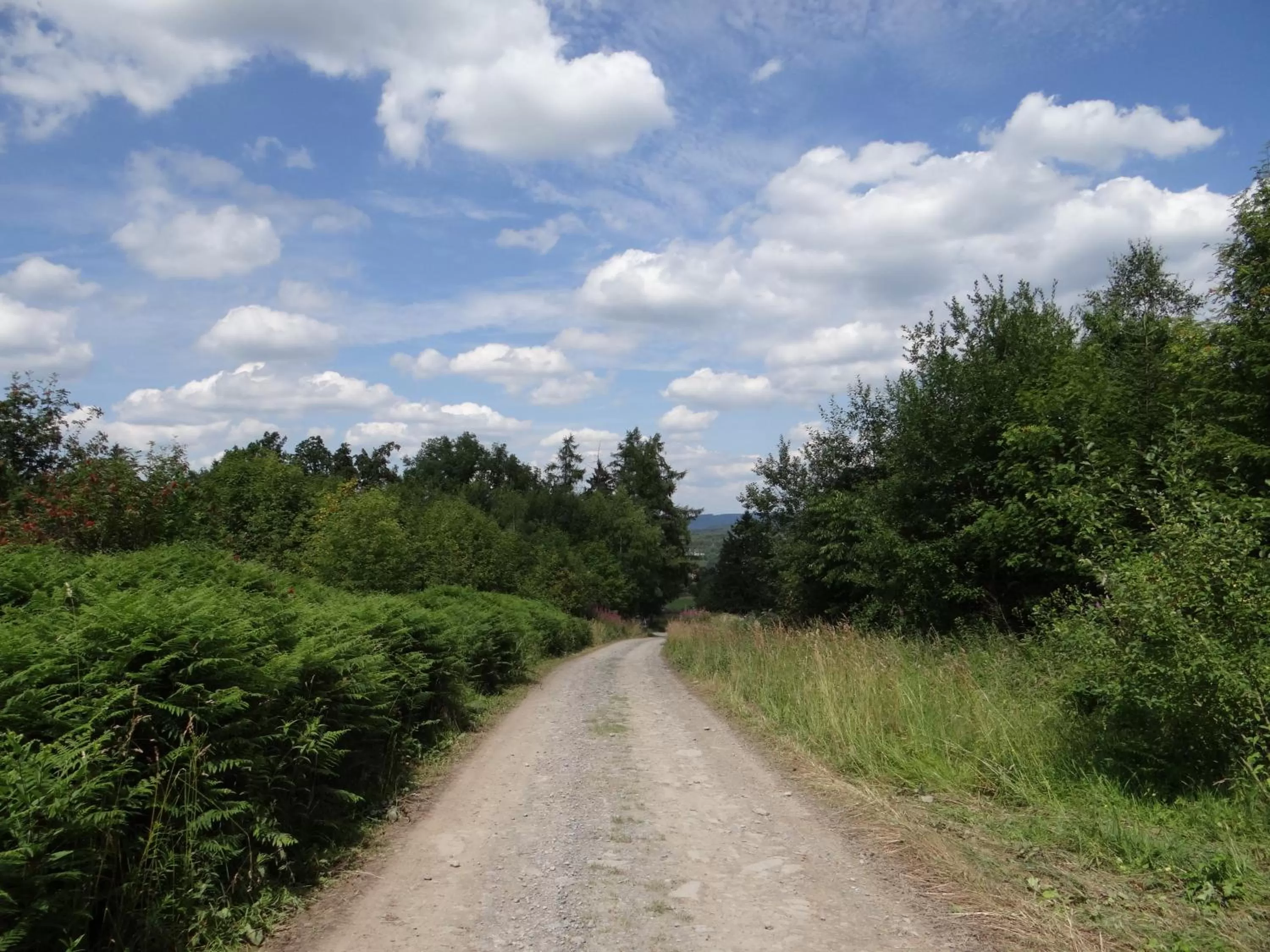 Hiking in B&B Les Tilleuls