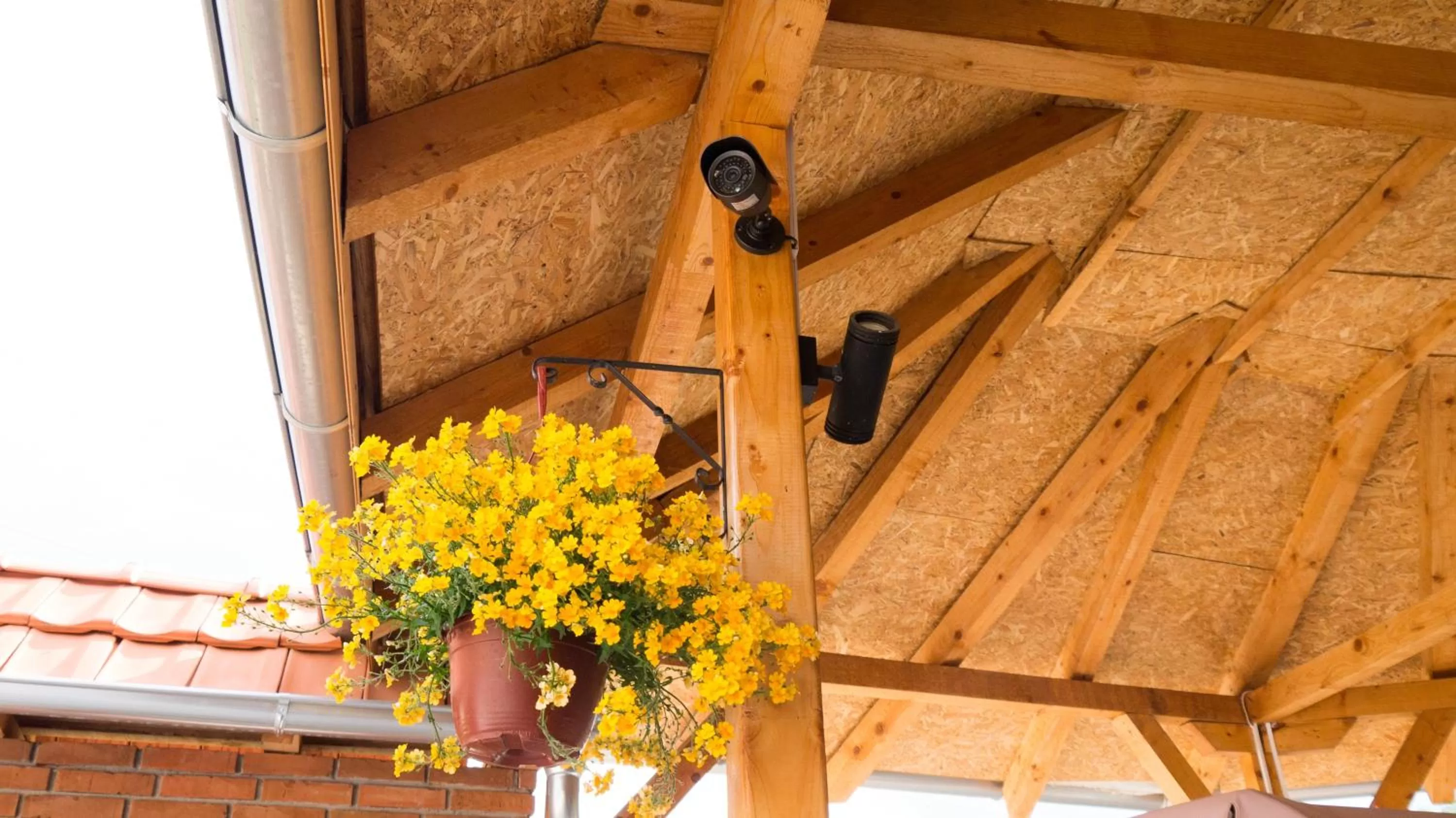 Property building in Villa Lola & Nikola