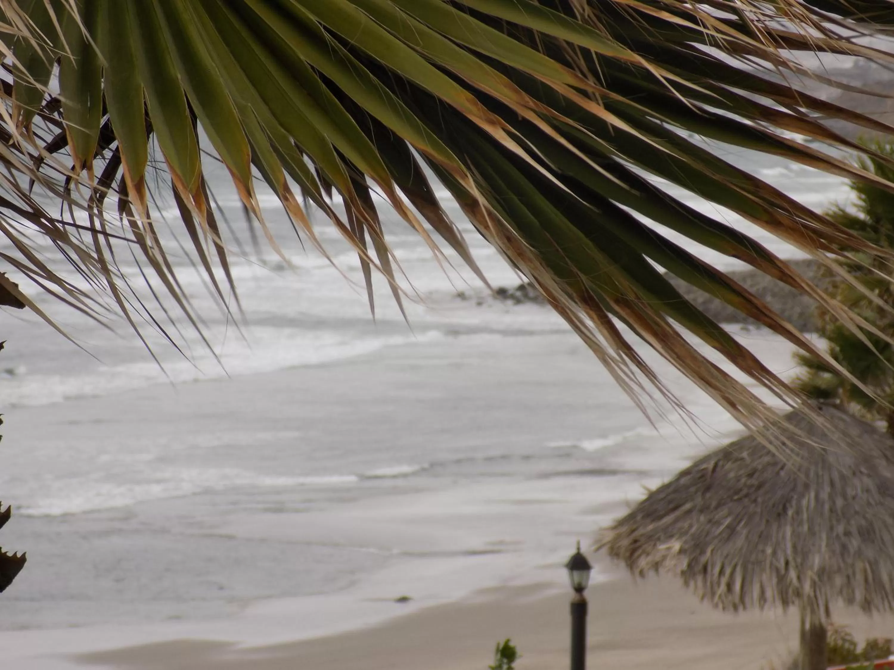 Restaurant/places to eat in Poco Cielo Hotel