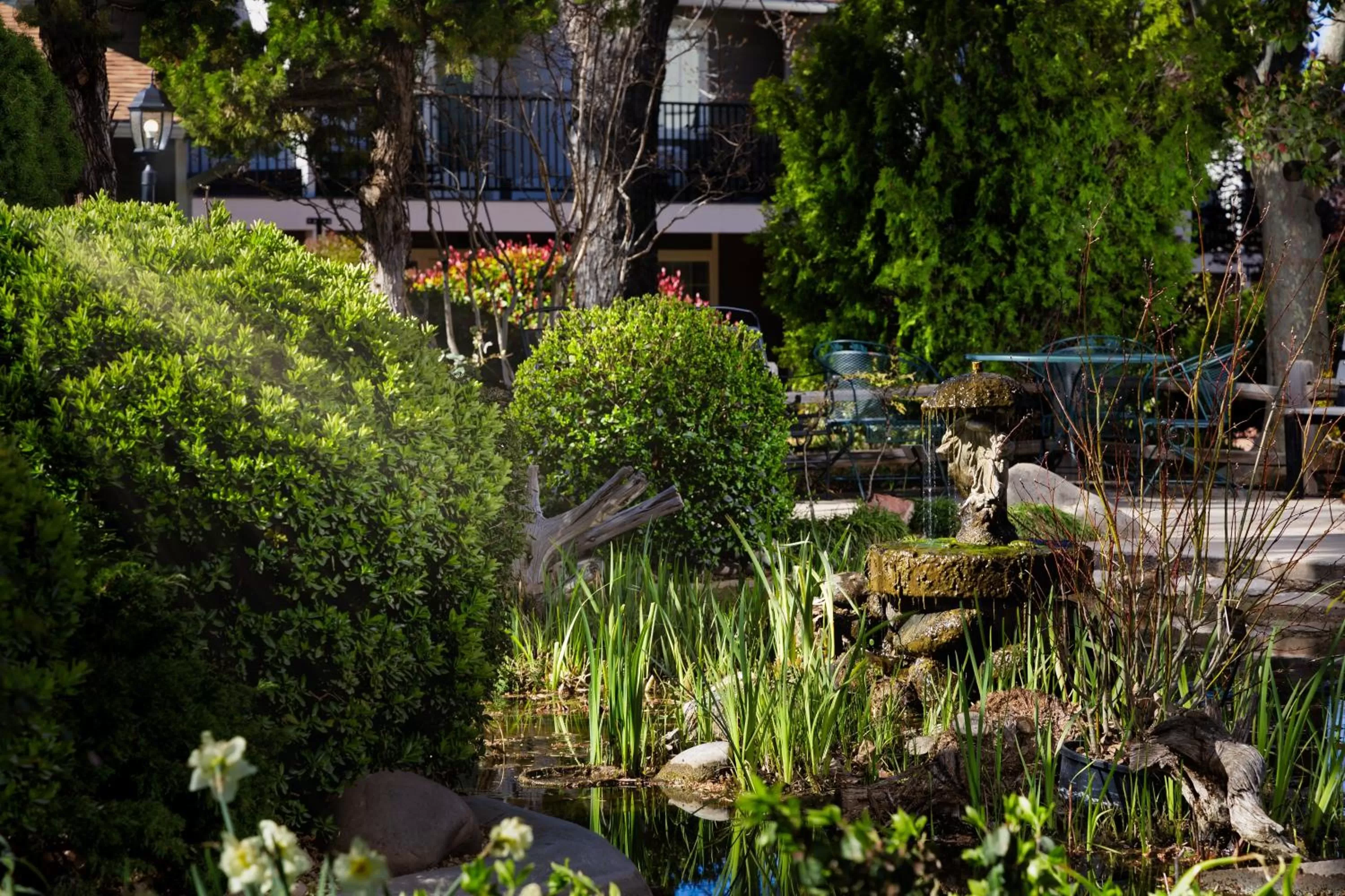 Garden in Sky Ranch Lodge